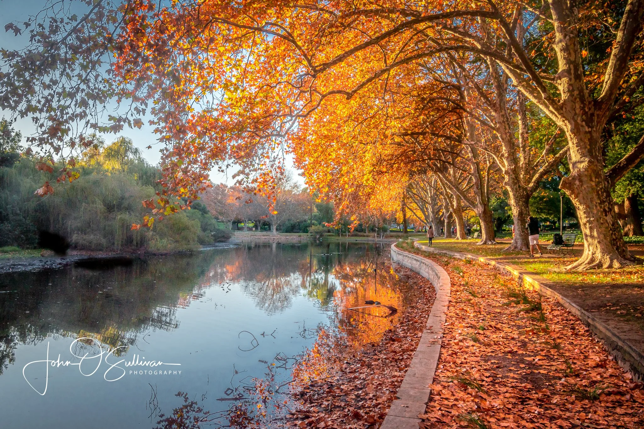 003_ HYDE PARK_ AUTUM COLOURS