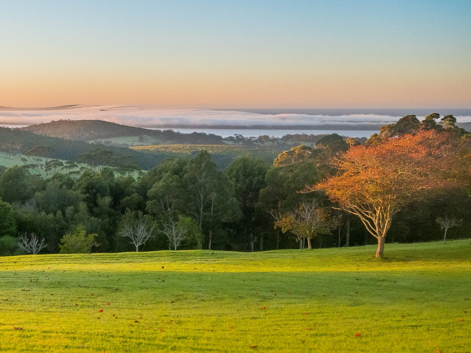 612 DENMARK_ KARRI MIA CHALETS_ MT SHADFORTH RD