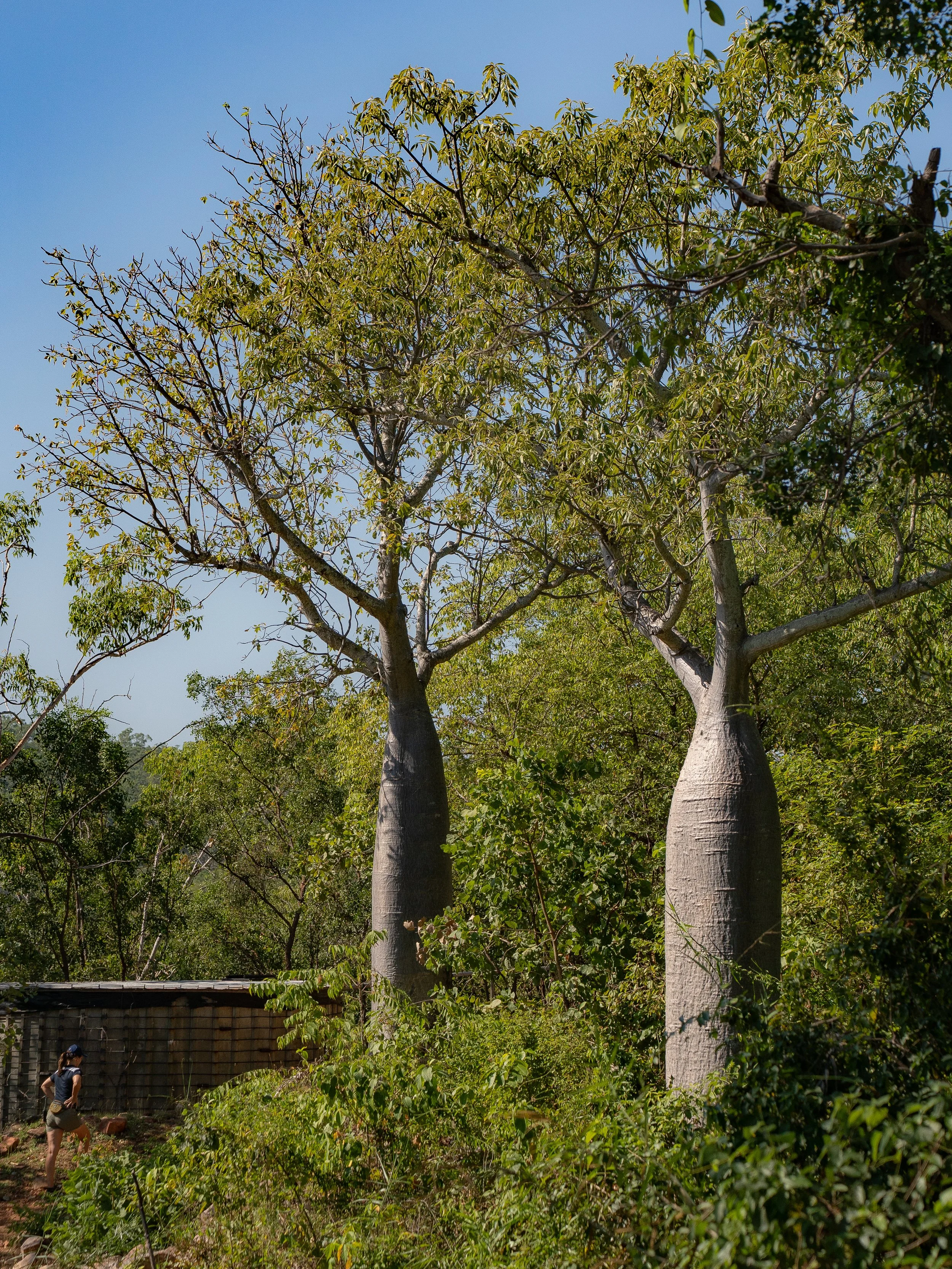 P&O CRUISE_ DAY 6 KURI BAY-16.jpg