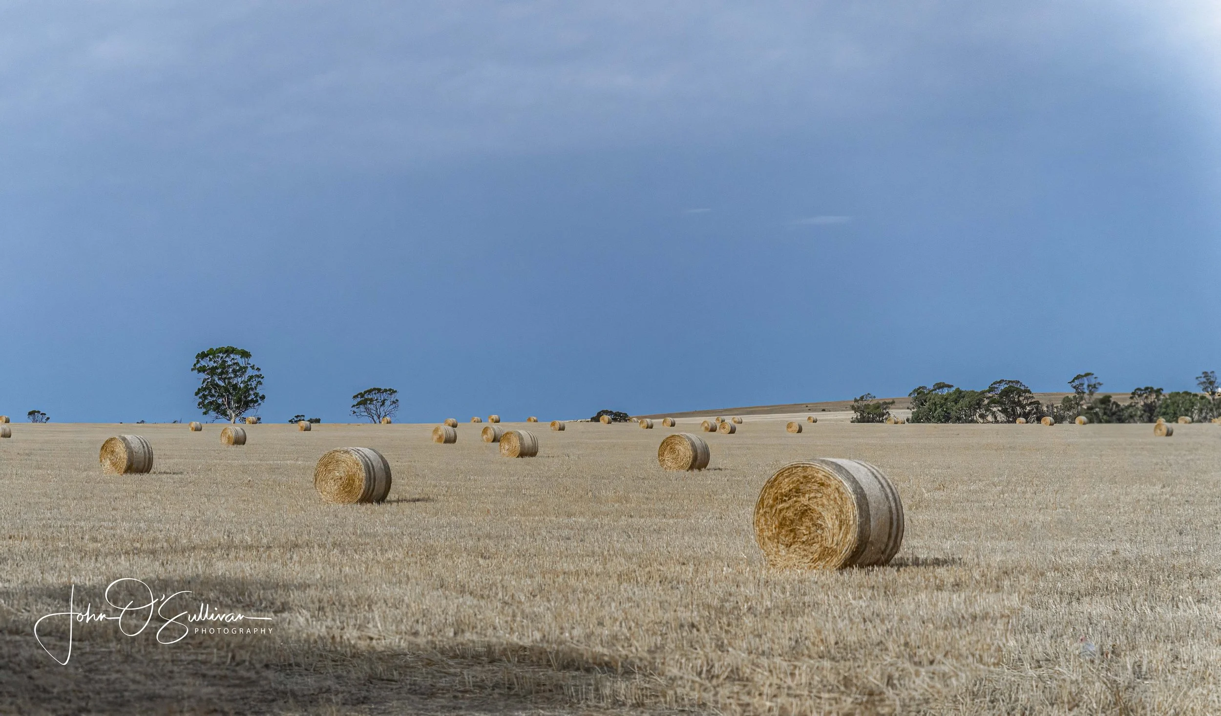 Wheat Belt_ Jan 2024-13.jpg