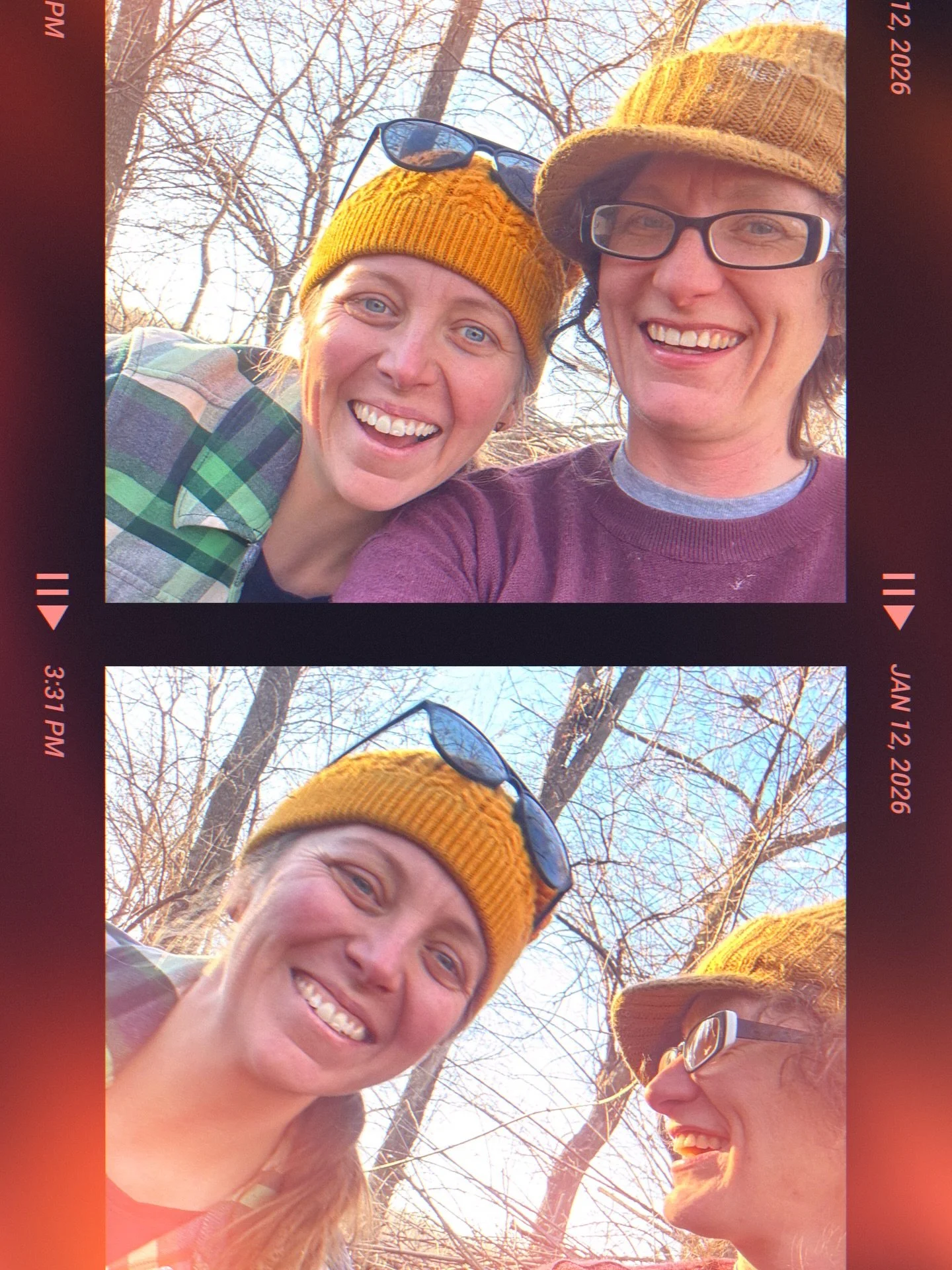 There are so many wonderful gardening resources to take advantage of. From libraries, to Facebook groups, local organizations, the internet, and experience gardening neighbors. Some of us learned from grandparents or trial and error. Some joined a co