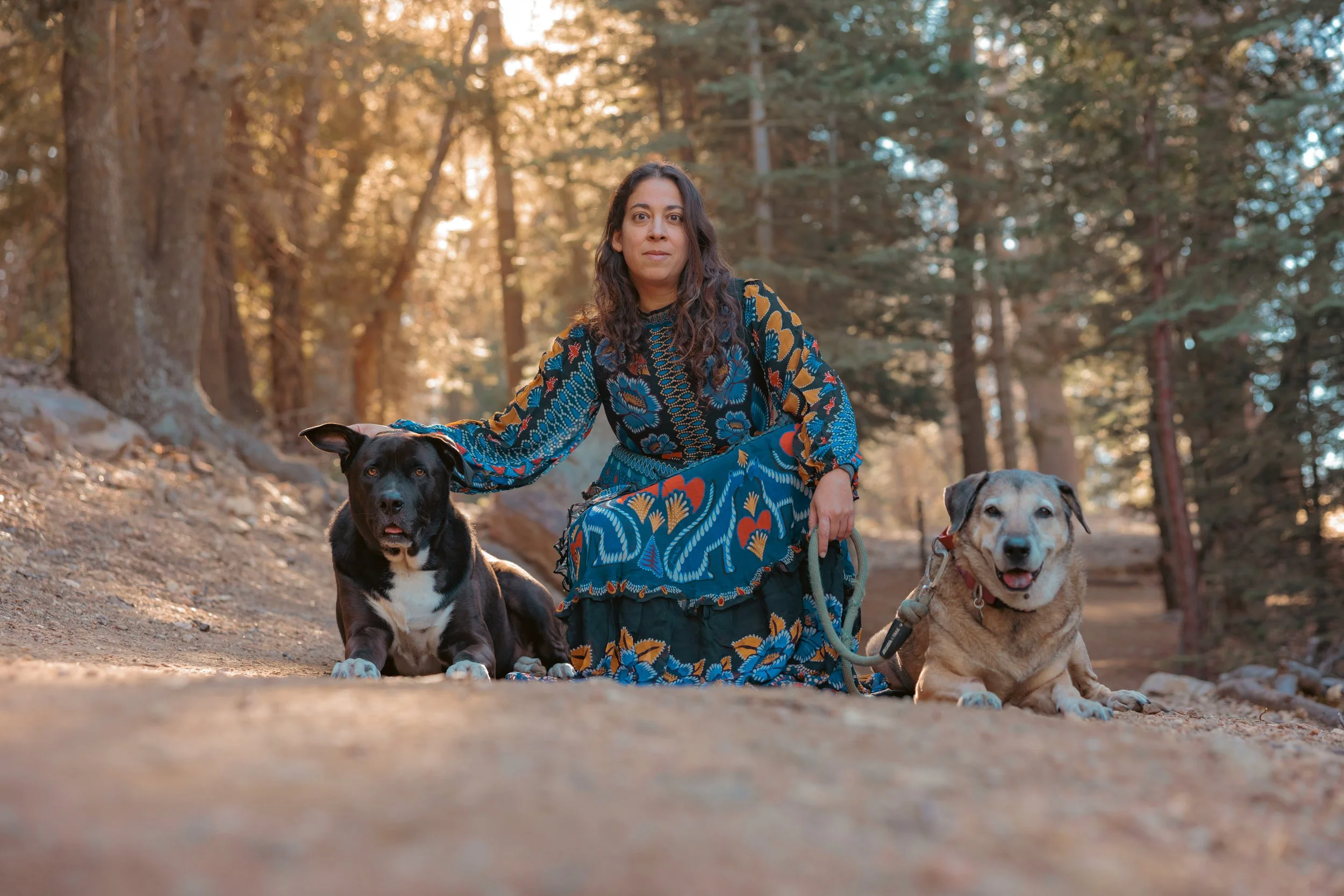 A woman in a colorful long-sleeve dress kneels on the ground in a forest, petting two dogs lying beside her. The scene is lit by warm sunlight filtering through trees.