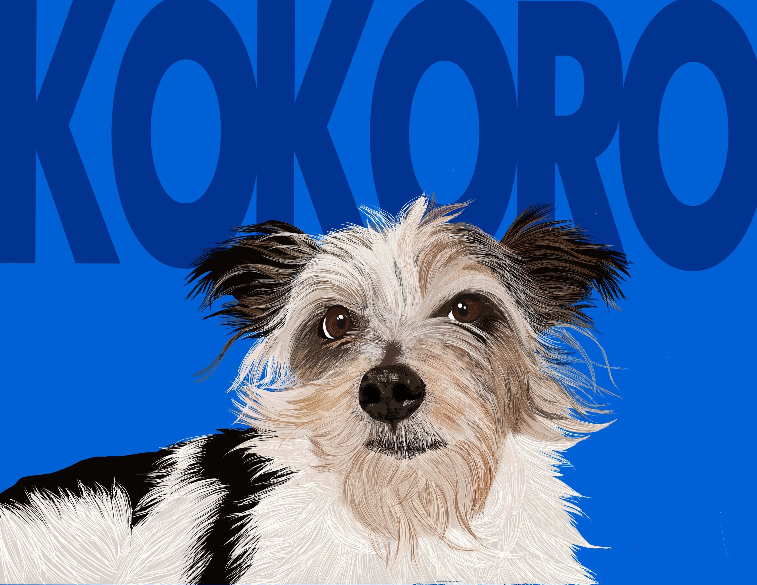 kokoro-pet-photography-by-judith-banos-colorful-digital-pet-portrait-8.jpg
