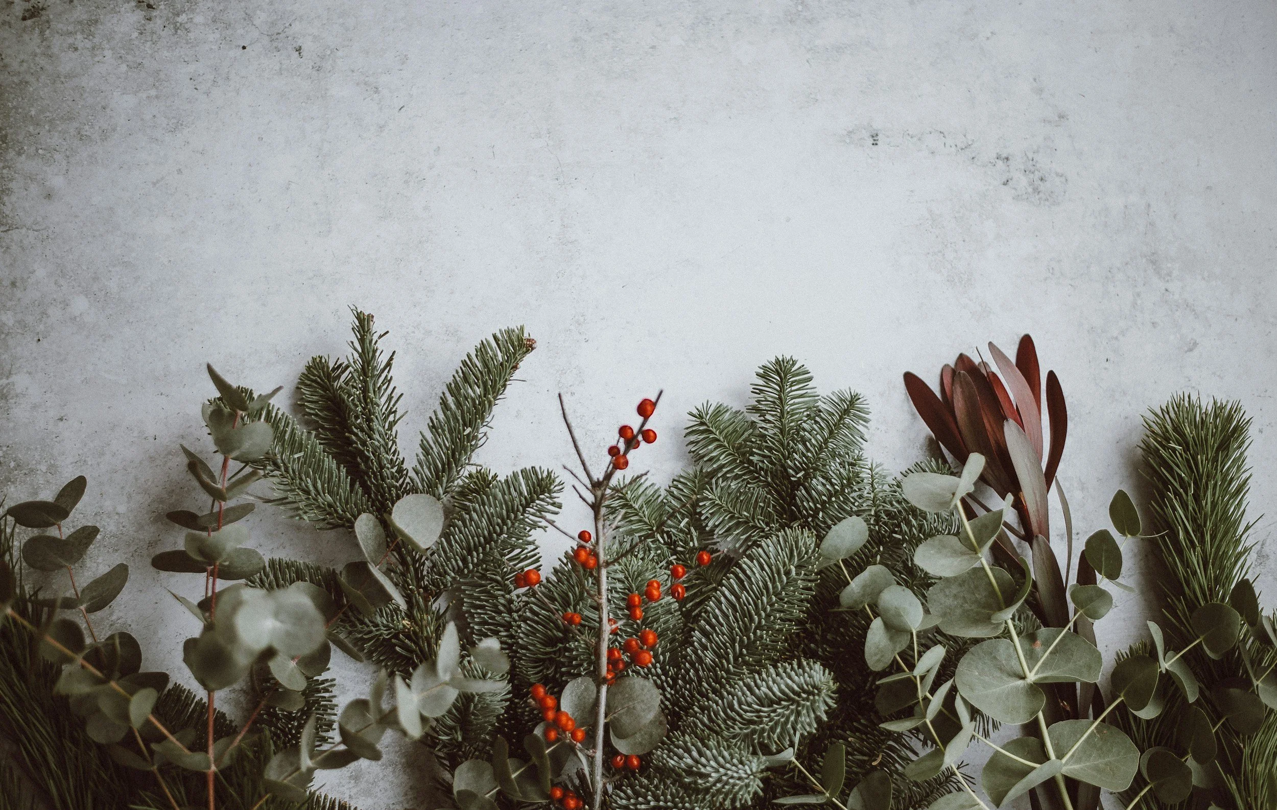 Why the Holidays Feel Hard: A Trauma-Informed Guide to Staying in Your Window of Tolerance