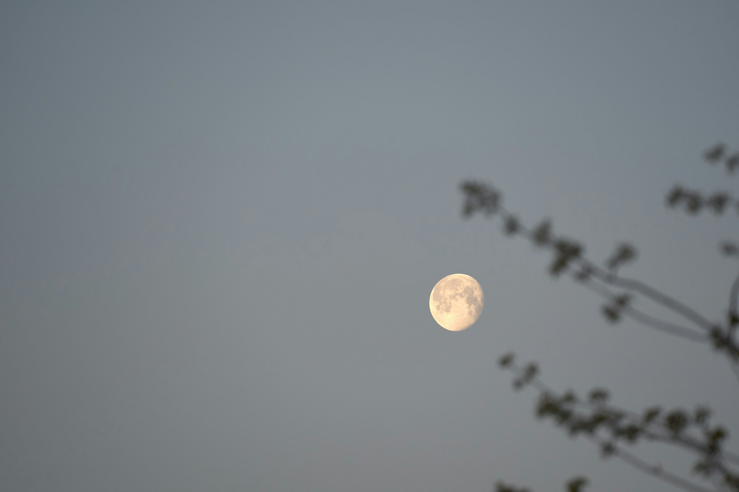 Full Moon Breathwork Circle