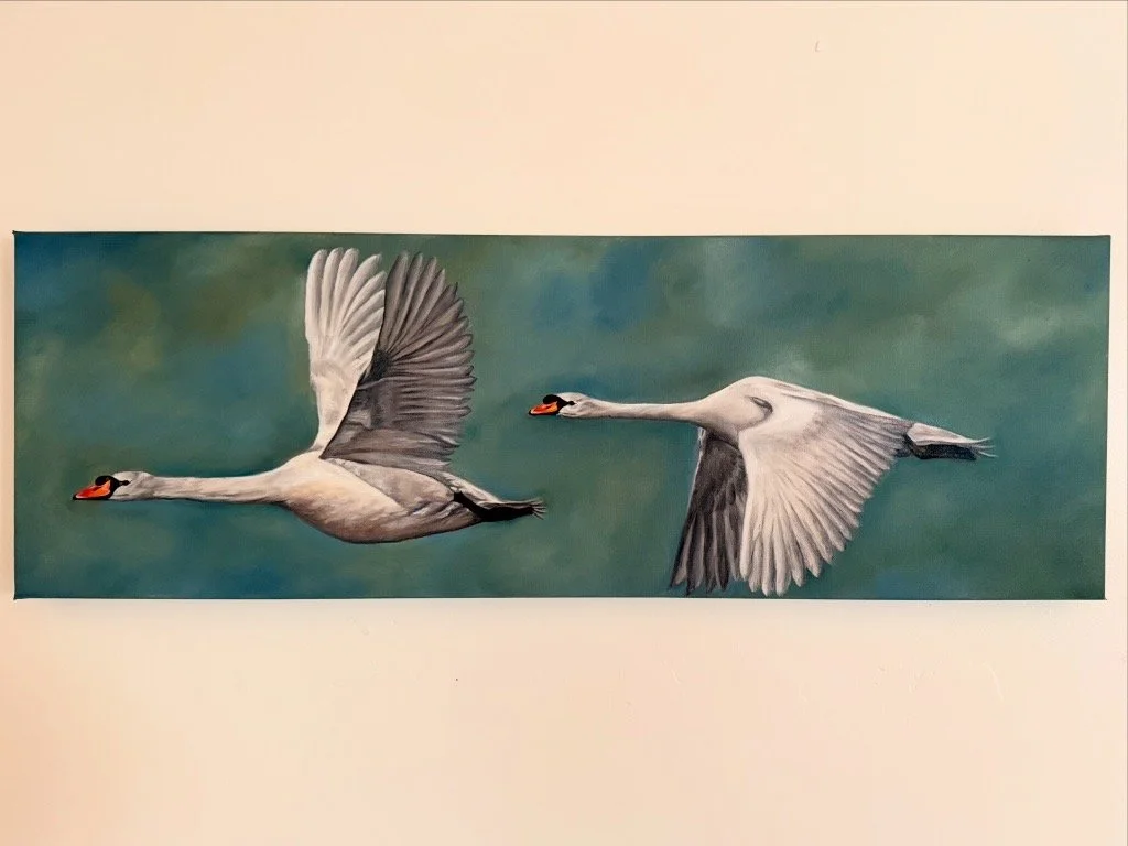 Coming North, Coming Home, 2026