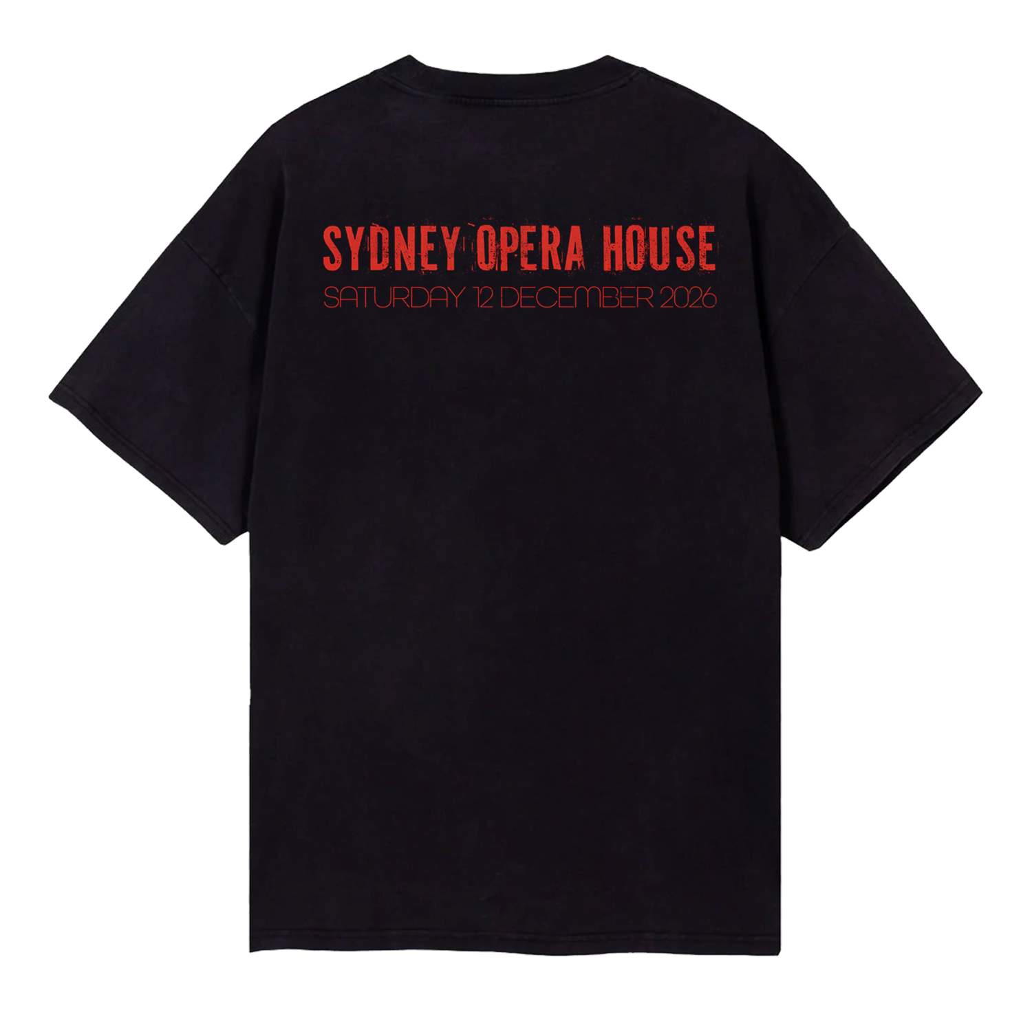 AMITY SHIRT MOCKUP back.png