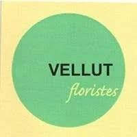 Aconsegueix el teu pack de flors amb preu tancat i servei personal directe amb Vellut Floristes