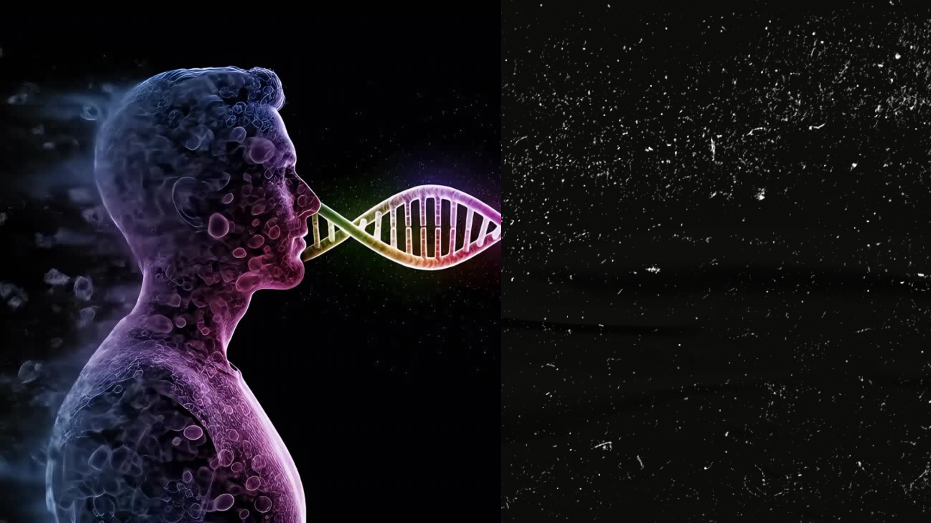 genome falback image.png