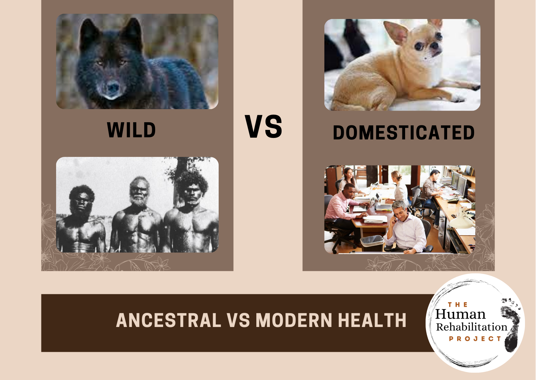 Domesticated vs wild health profile