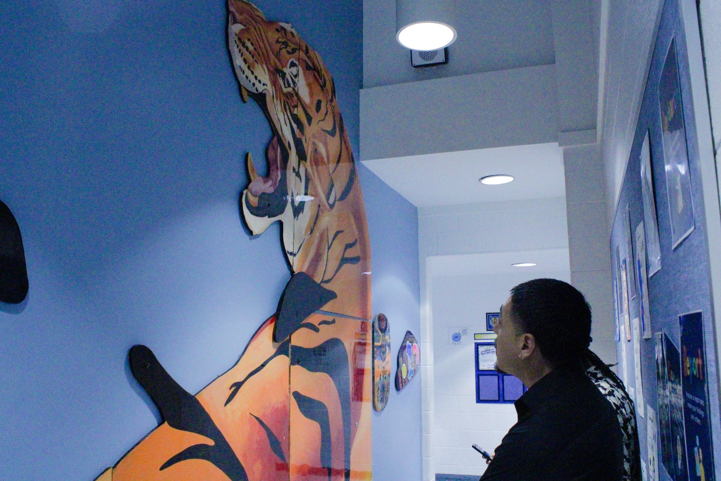 ECUEA Tiger