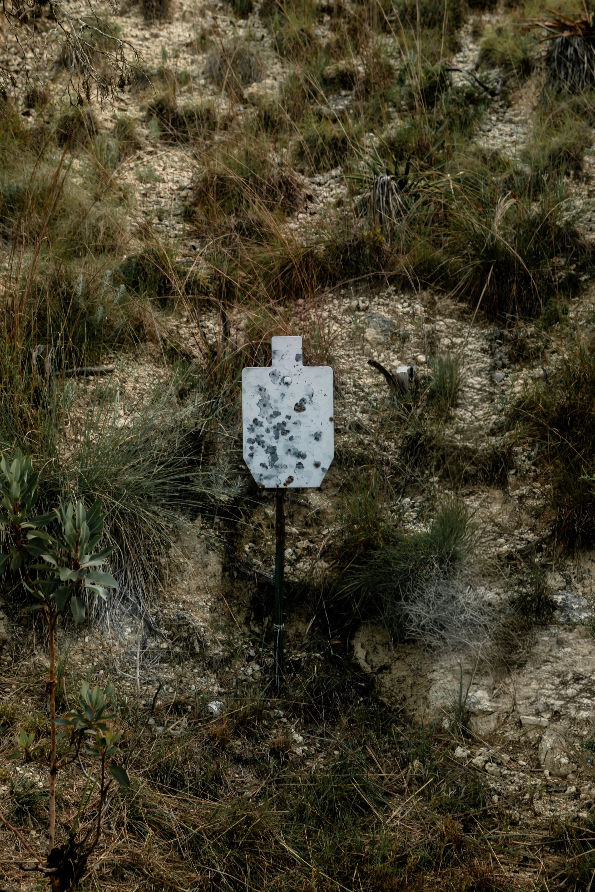 KAC_3616.jpg