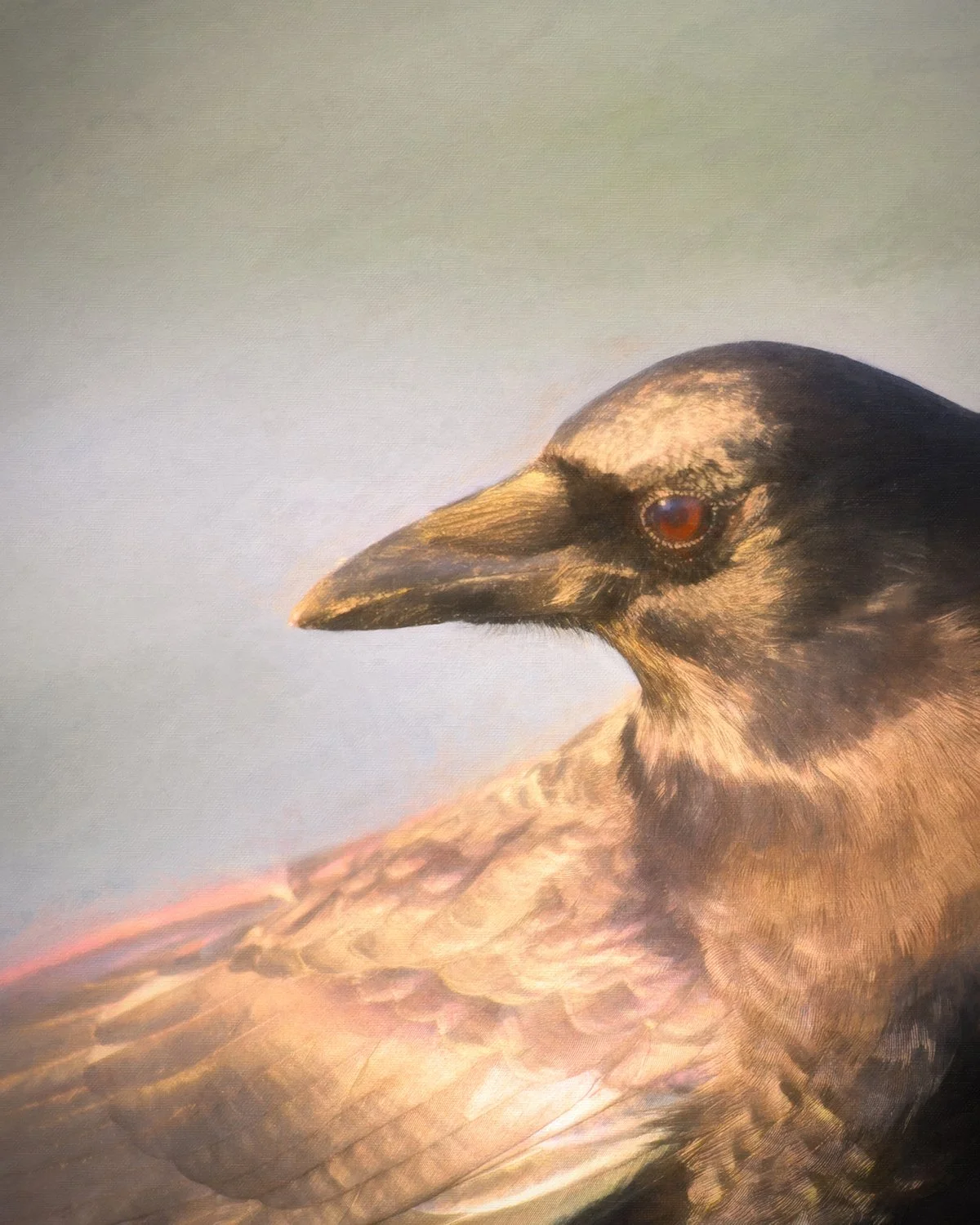 close-up portrait of crow against a wintery gray sky, colors of brown and gray