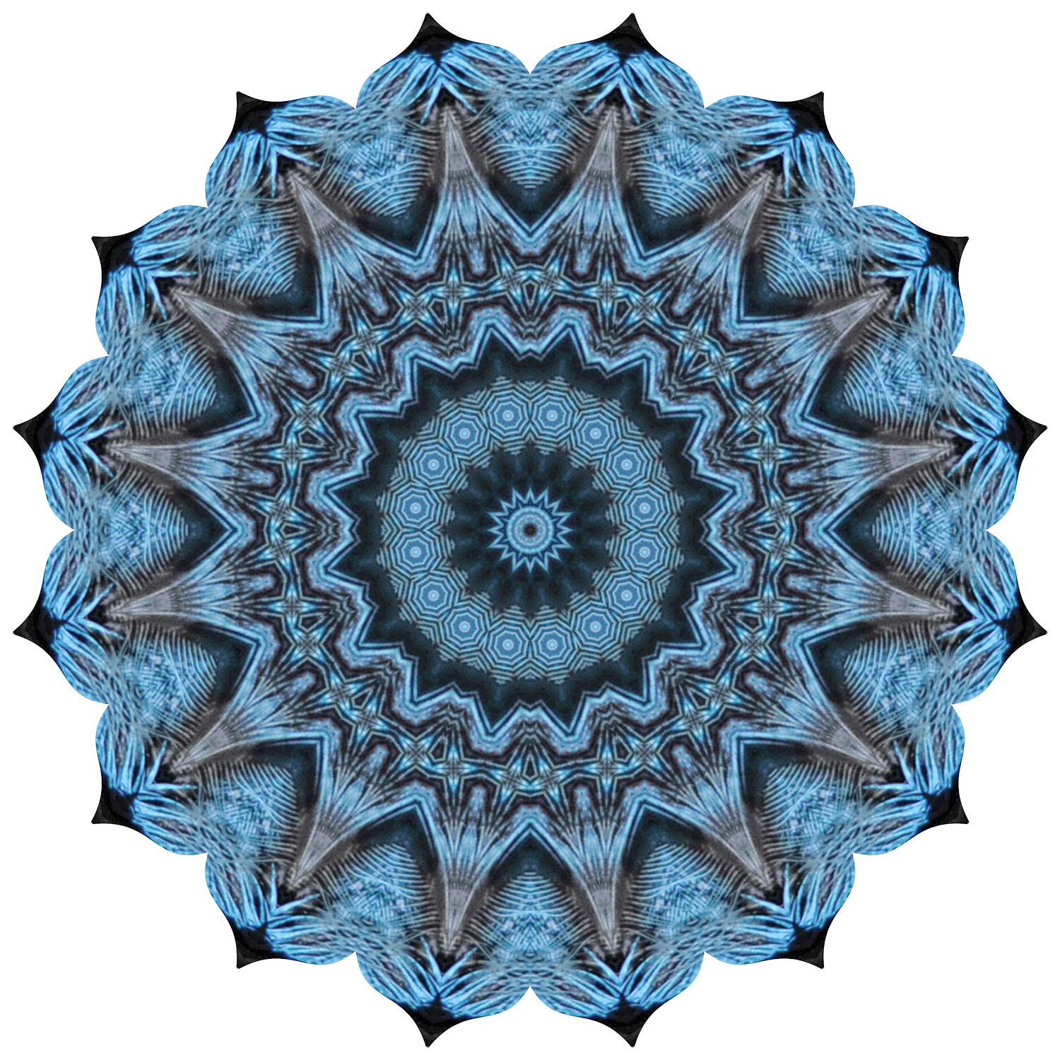 jay99-2_transparent copy_1500x-website.png