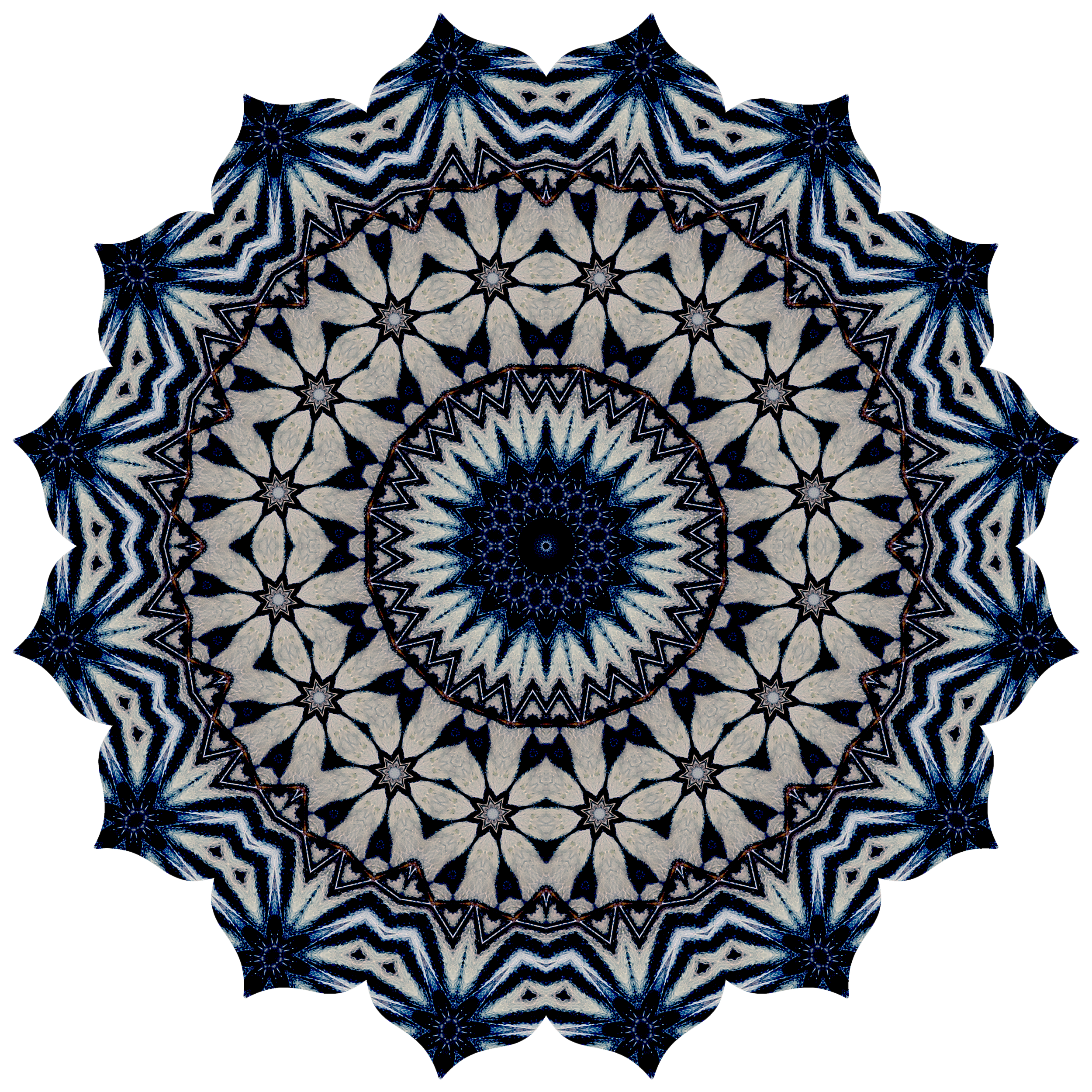 swallowtail4079-2-1-1_1500x-website copy_1500x-website.png