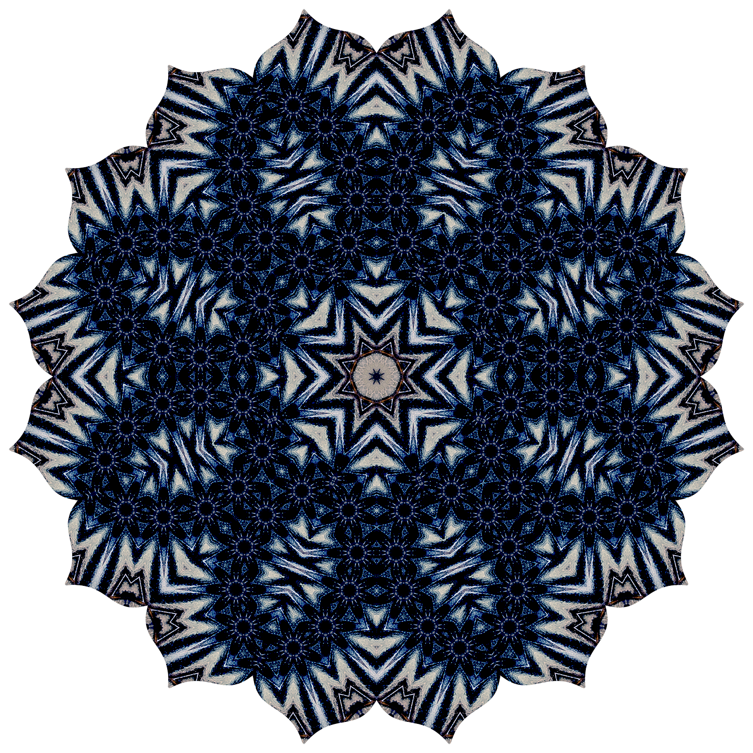 swallowtail4079-9-8_transparent copy_1500x-website.png