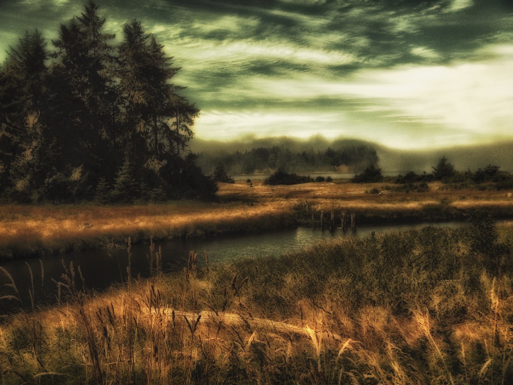 wetland estuary photo rendered in dramatic antique style with tan brown greens, peaceful and dramatic