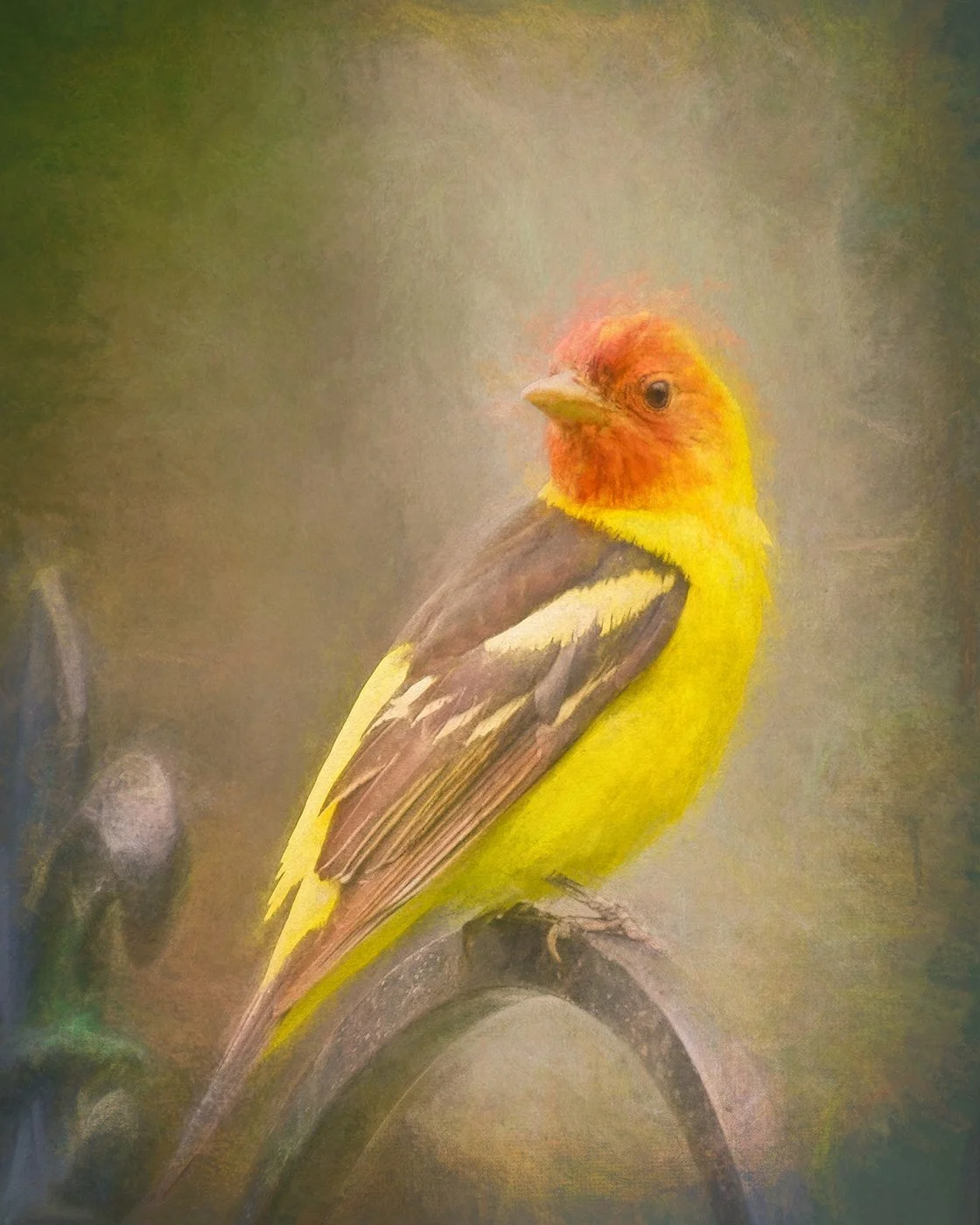 tanager songbird portrait rendered in chalky style, colors of yellow orange brown with soft background
