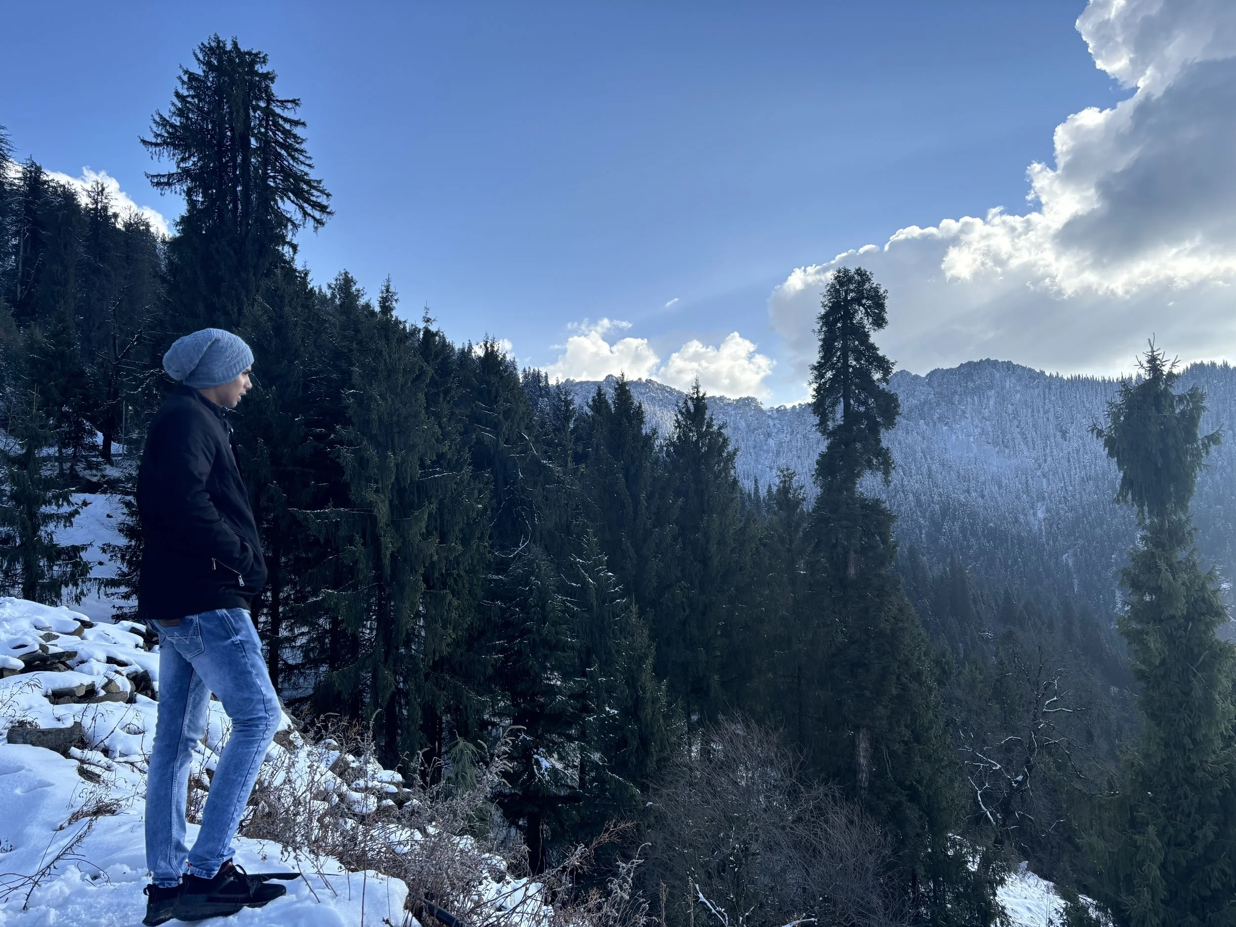 Image of Trekking Group – Group of trekkers on the way to Tungnath Temple through pine forest