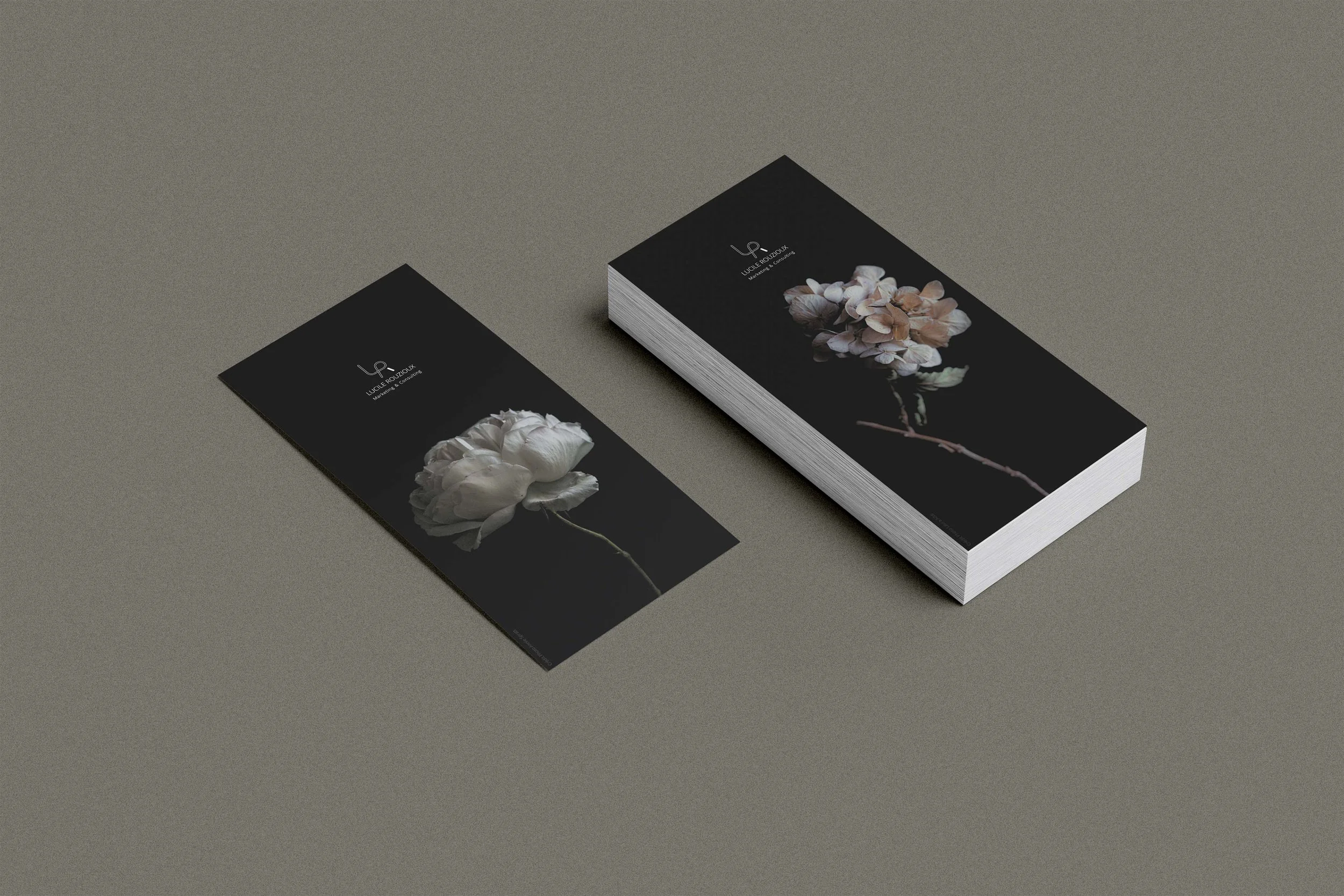 Image présentant les éléments de branding de LR Marketing, désignés par Mathilde Lafargue