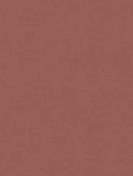 Un'immagine di colore marrone uniforme con una piccola macchia bianca in basso a destra.