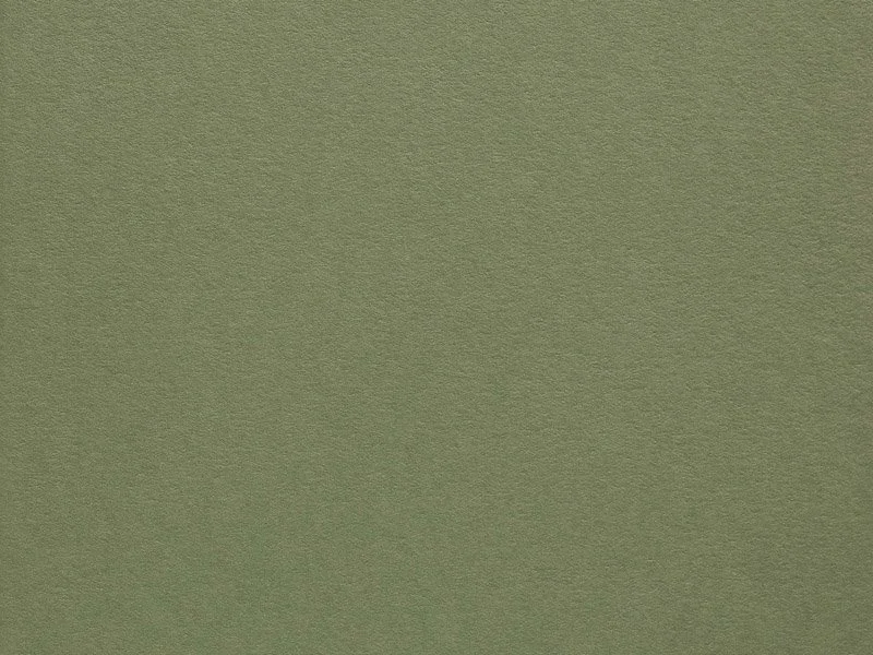 Superficie di carta color verde oliva.
