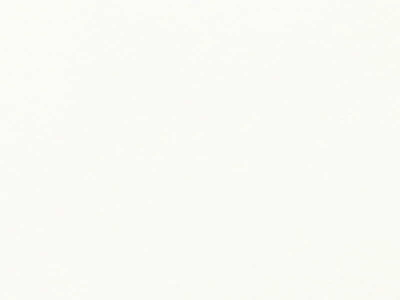 Sfondo bianco con una leggera ombra centrale, nessuna immagine specifica visibile.