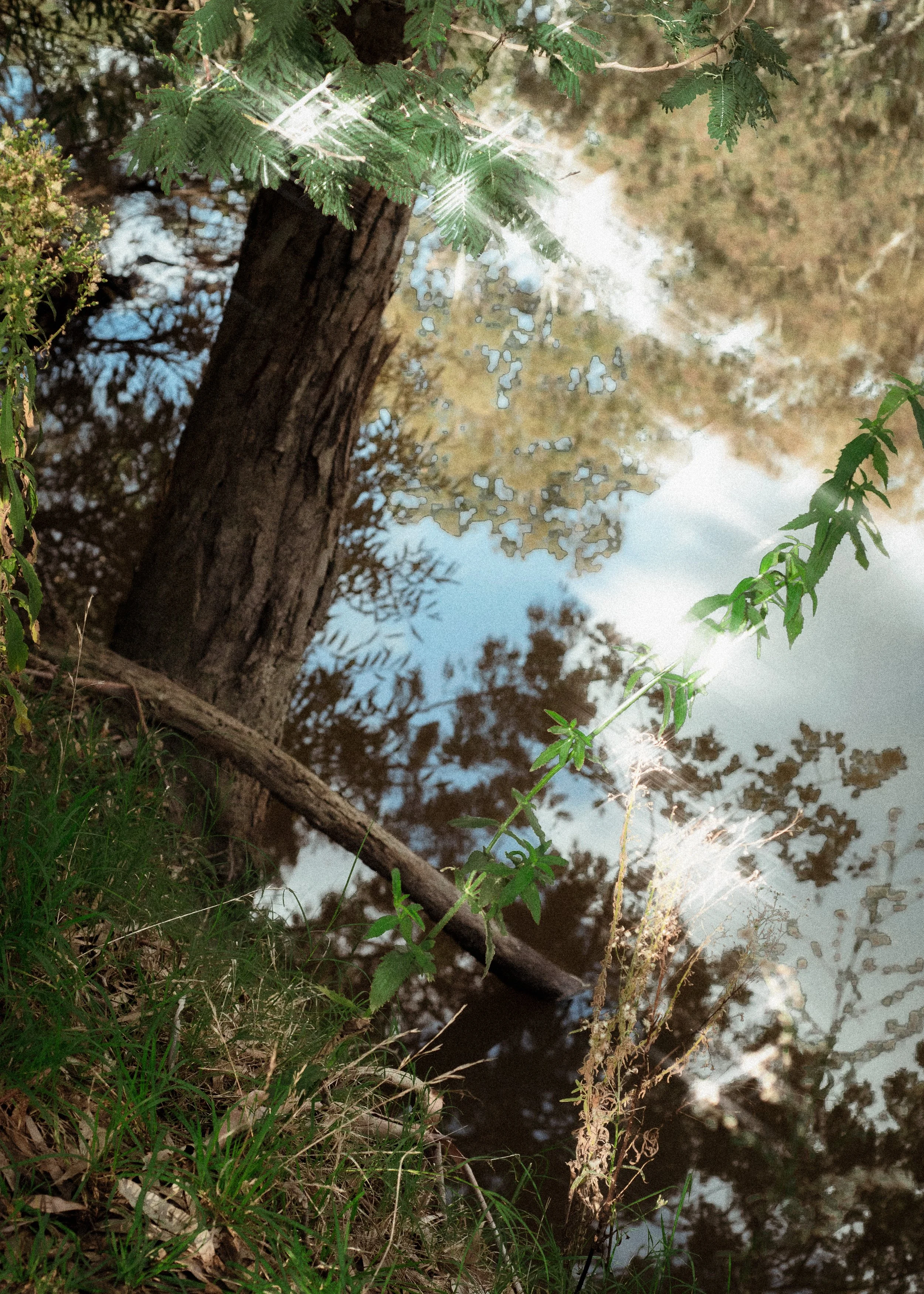 DSC_5807-Edit.jpg