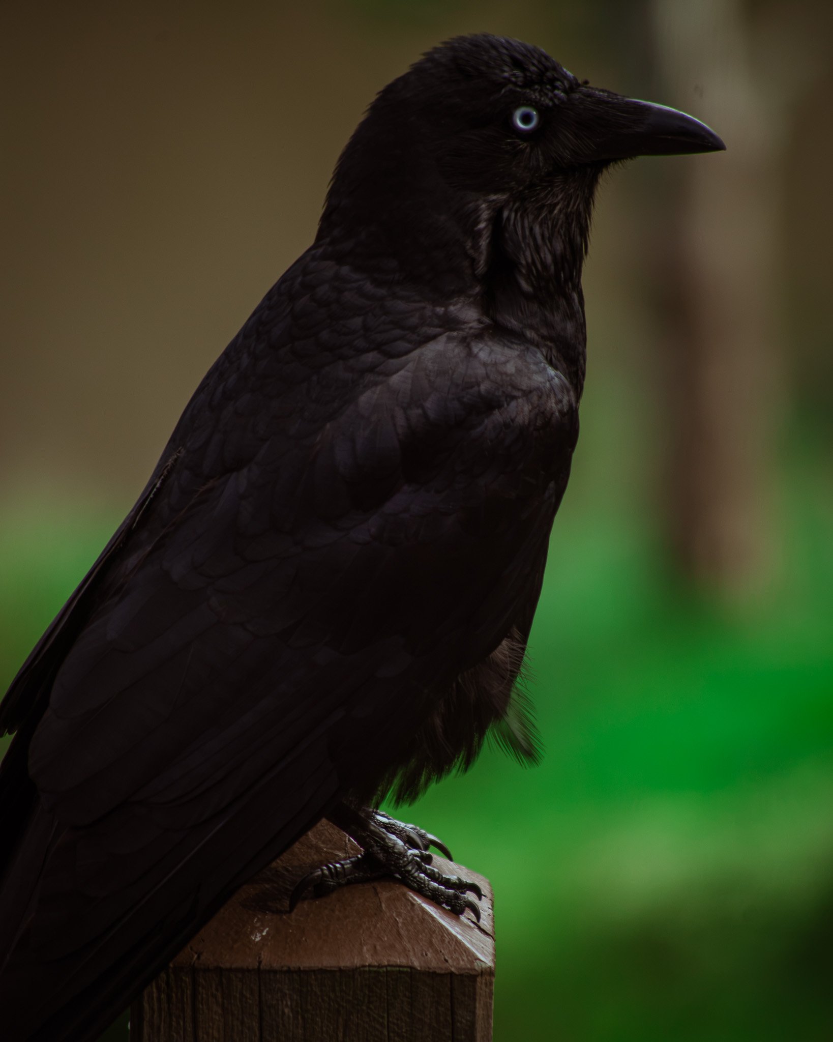DSC_0477.jpg