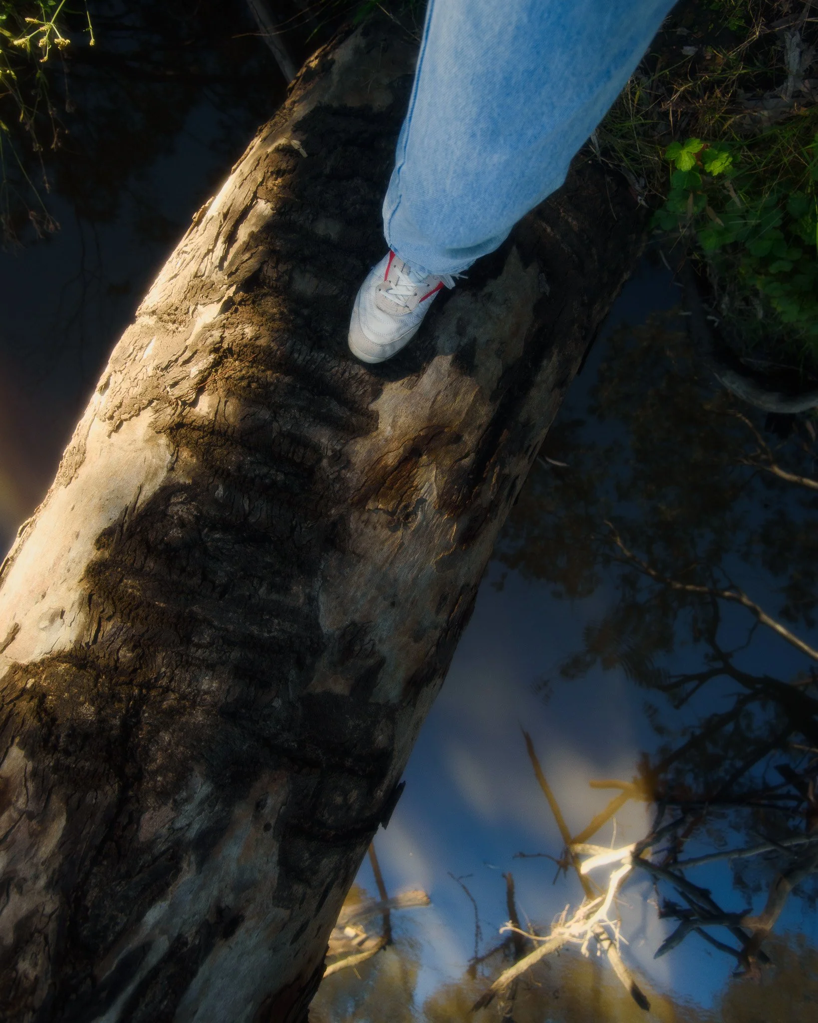 DSC_1655.jpg