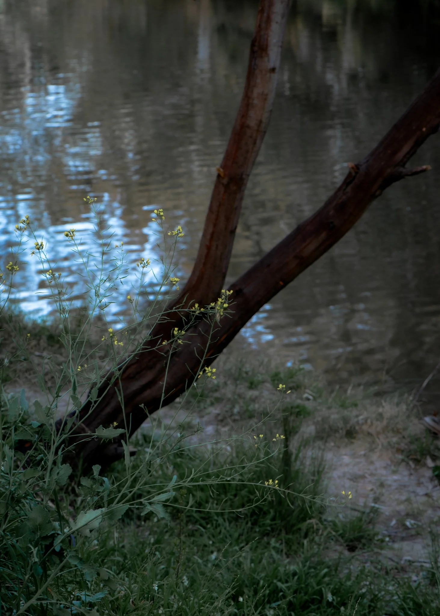 DSC_3405.jpg
