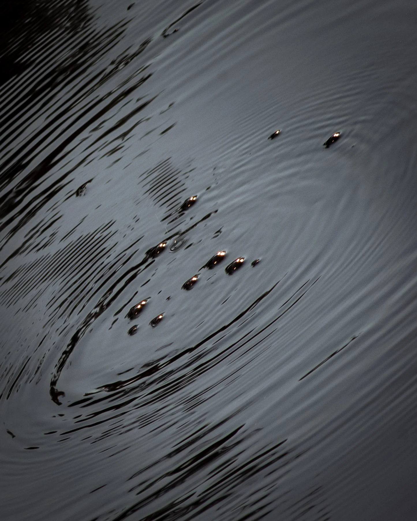 DSC_1669-Recovered.jpg