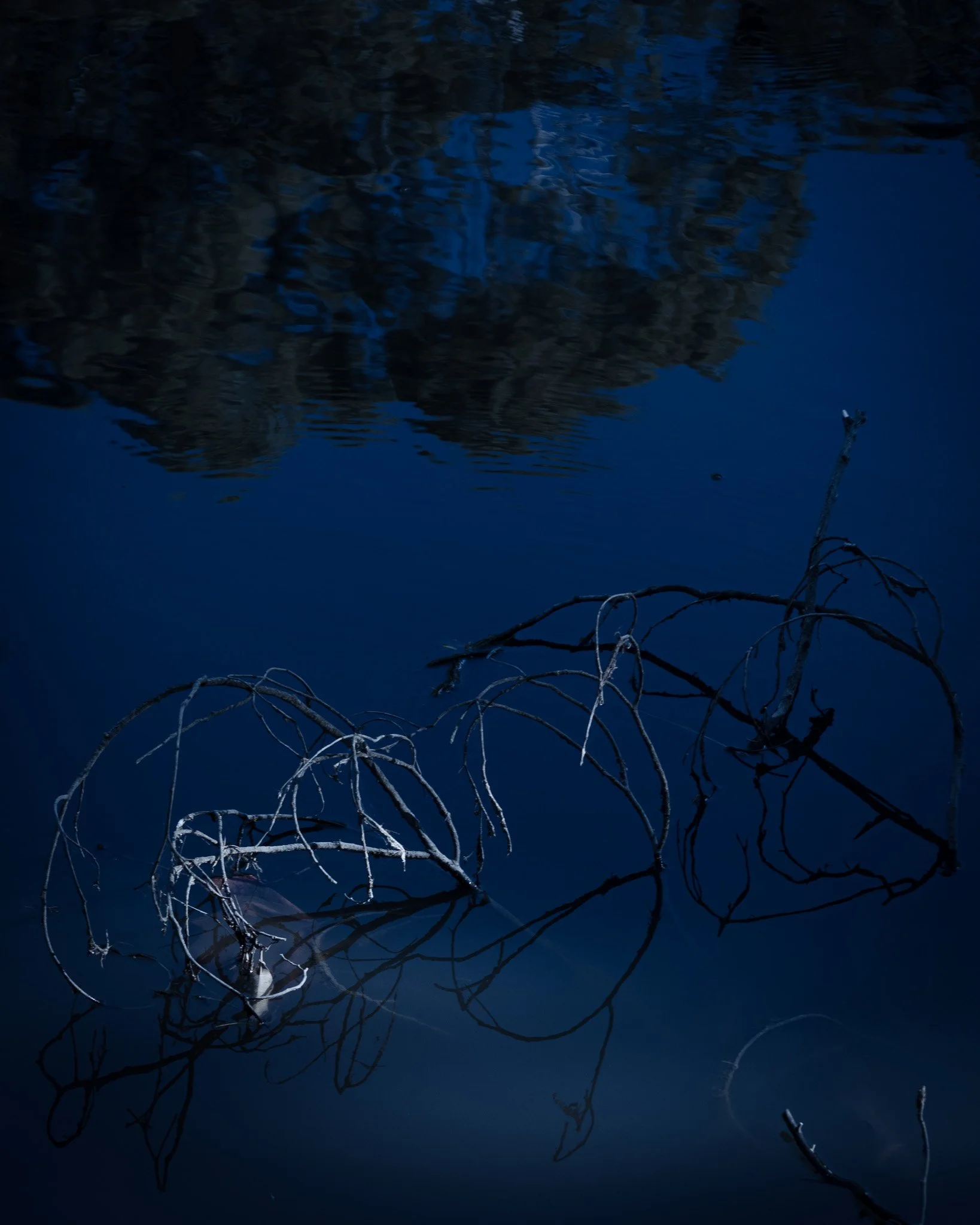 DSC_1138.jpg
