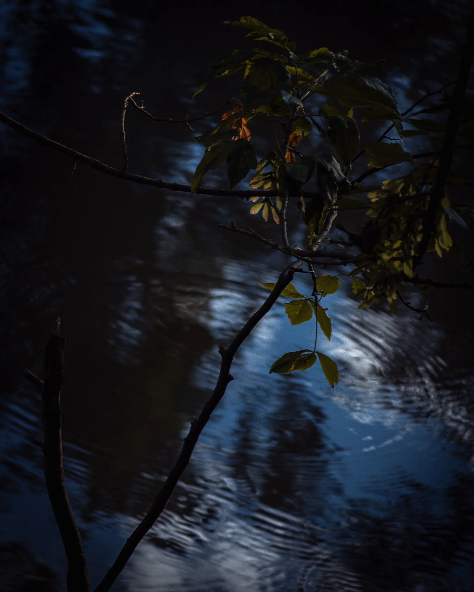 DSC_1583.jpg