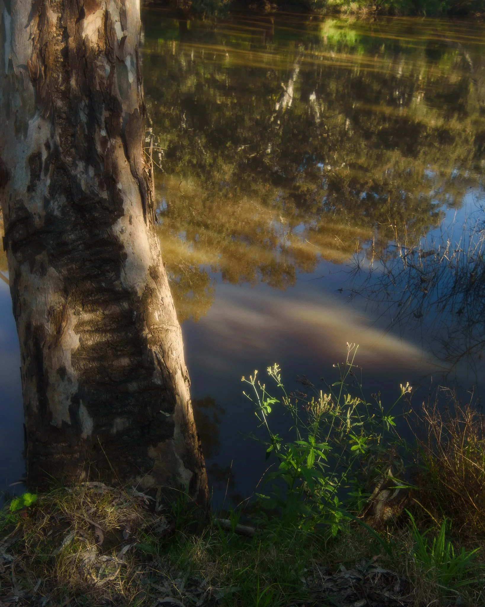 DSC_1637.jpg