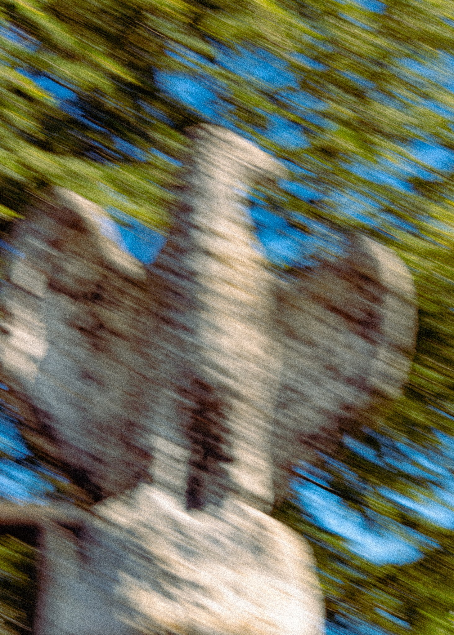DSC_6427-3.jpg