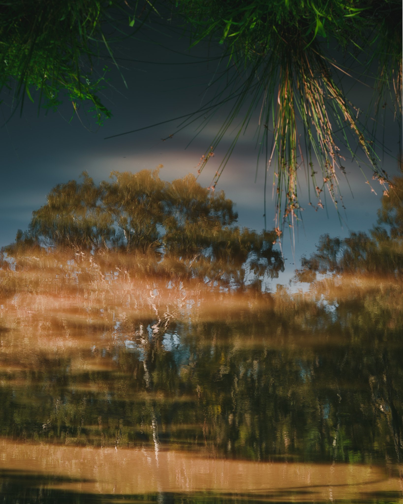 DSC_1447-HDR.jpg