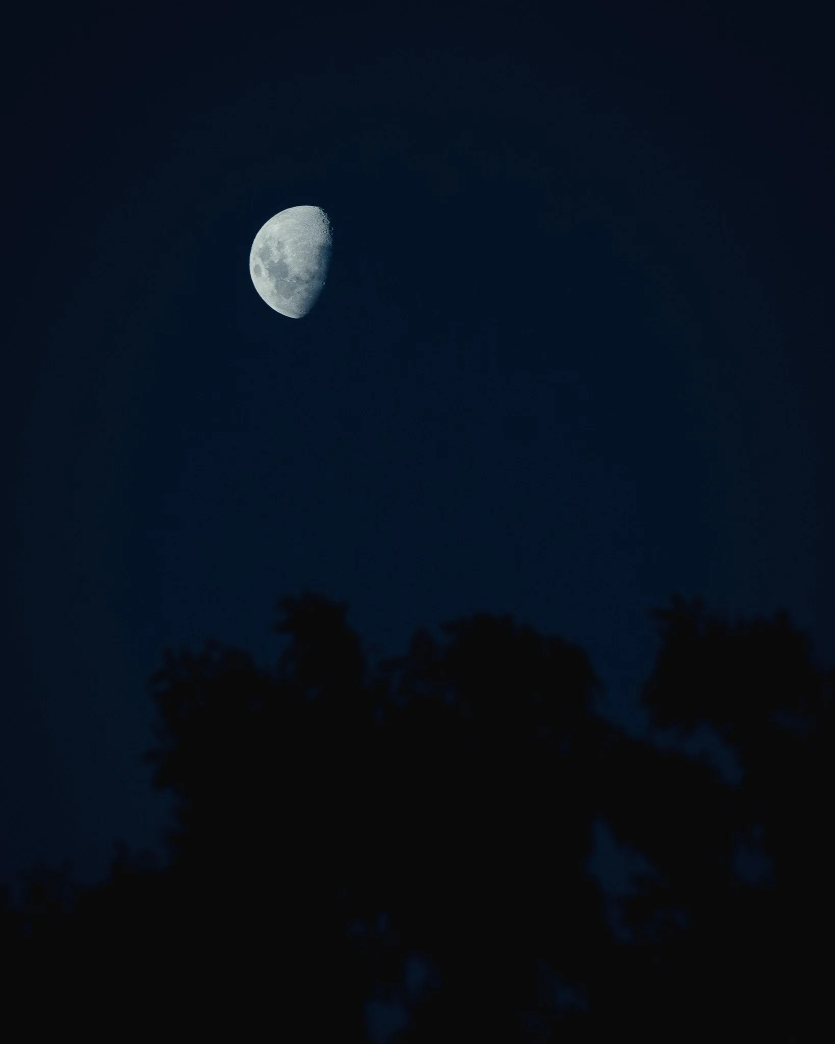 DSC_1889-2.jpg