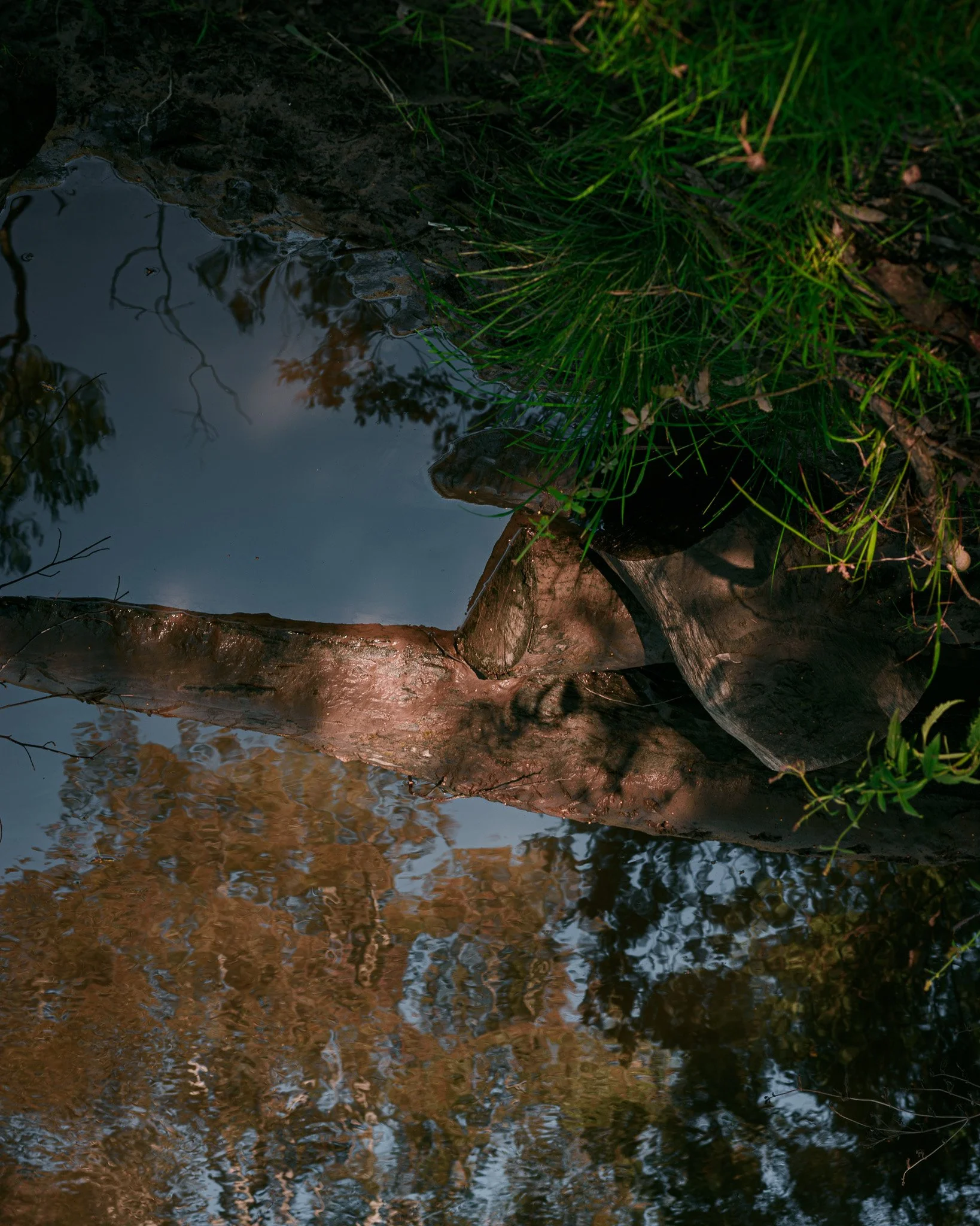 DSC_1323.jpg