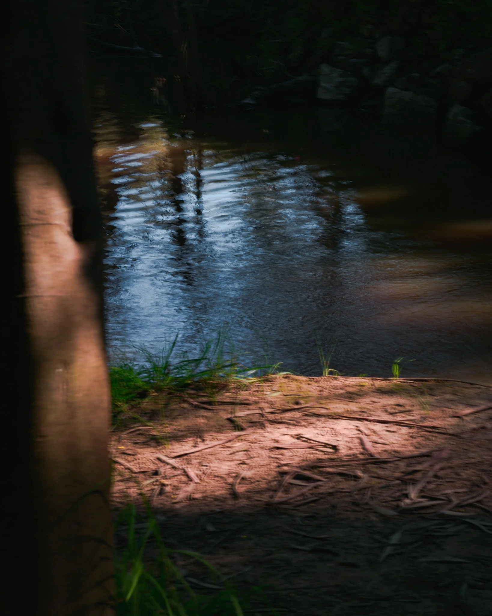 DSC_1287.jpg