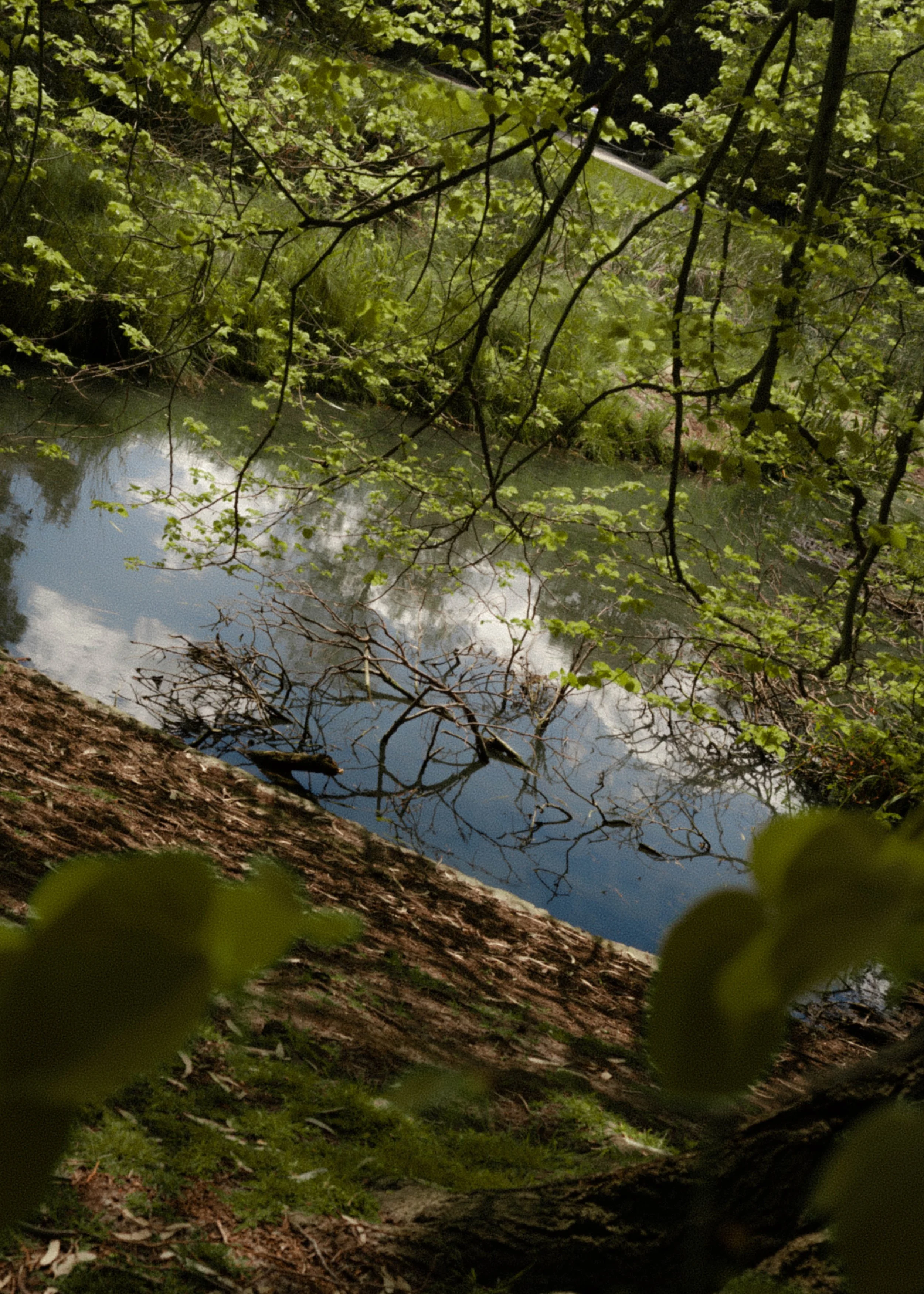 DSC_4639.jpg