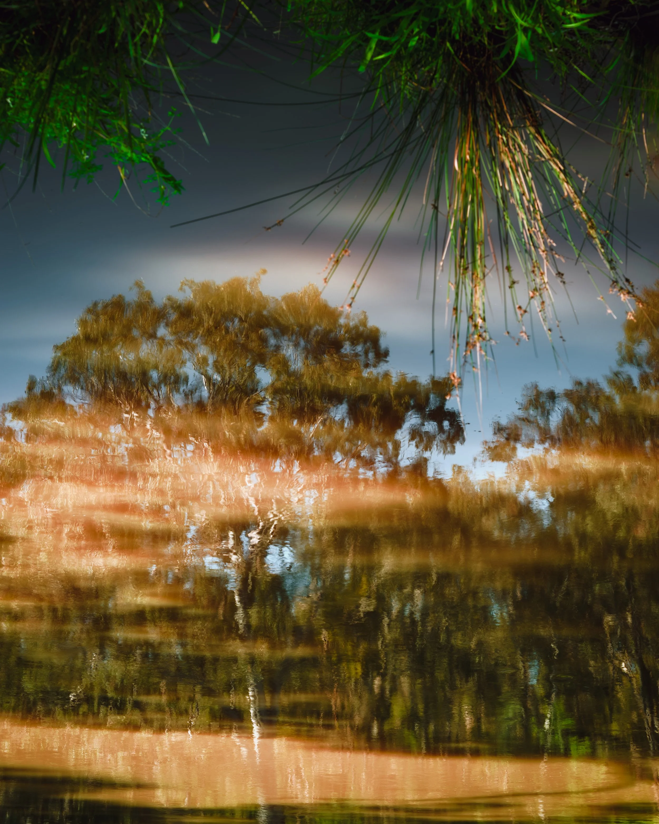 DSC_1447-HDR.jpg