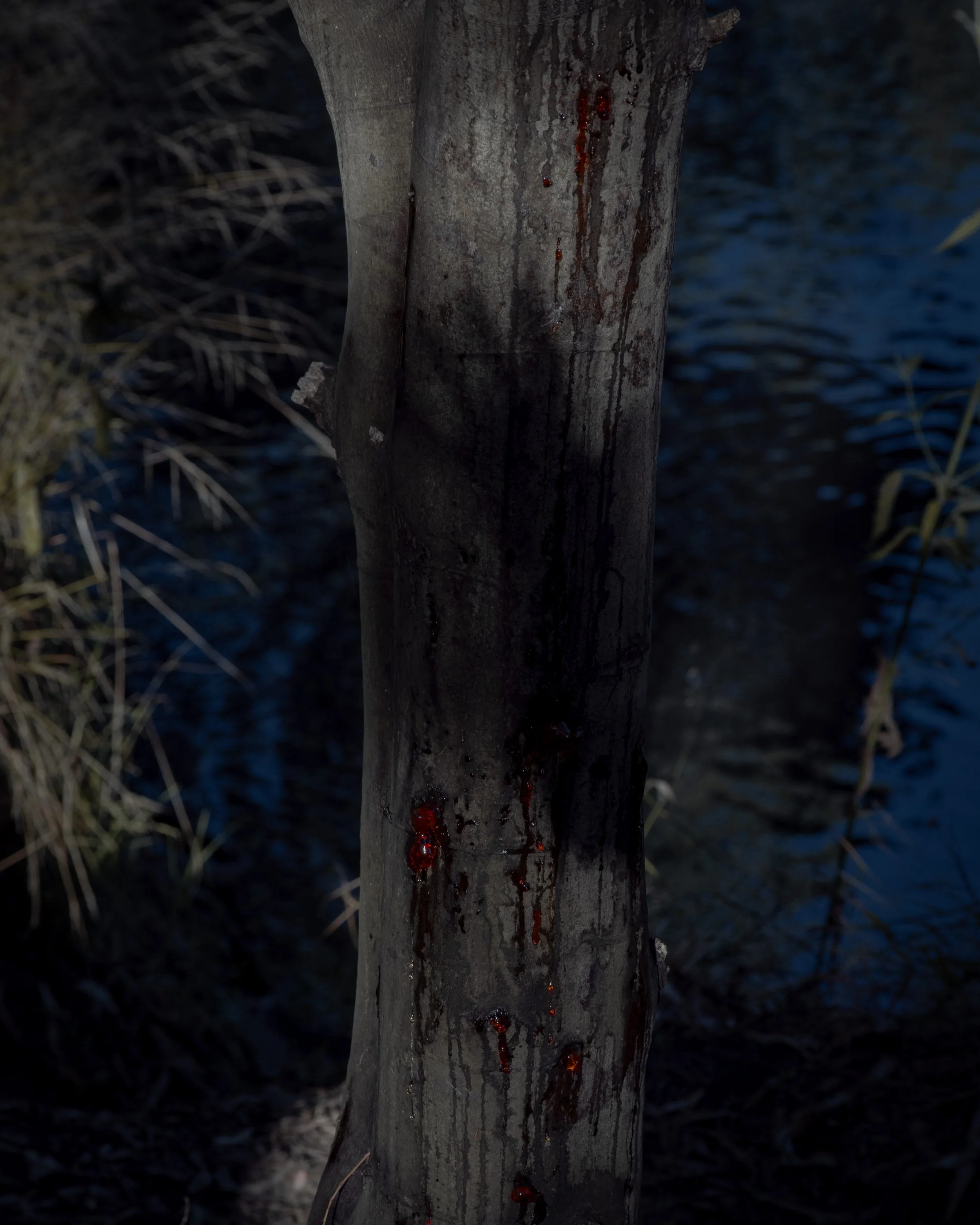 DSC_1349-4-Edit.jpg