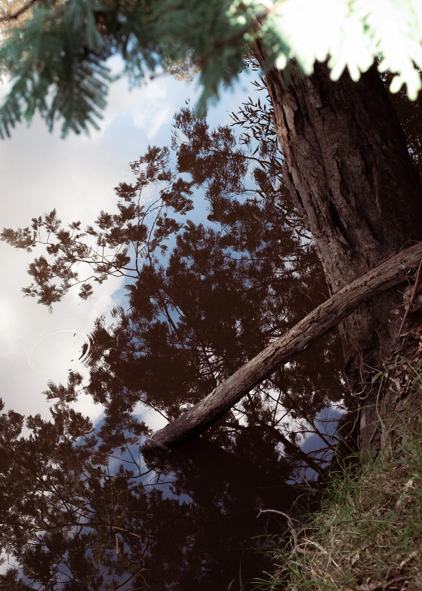 Untitled-7.jpg