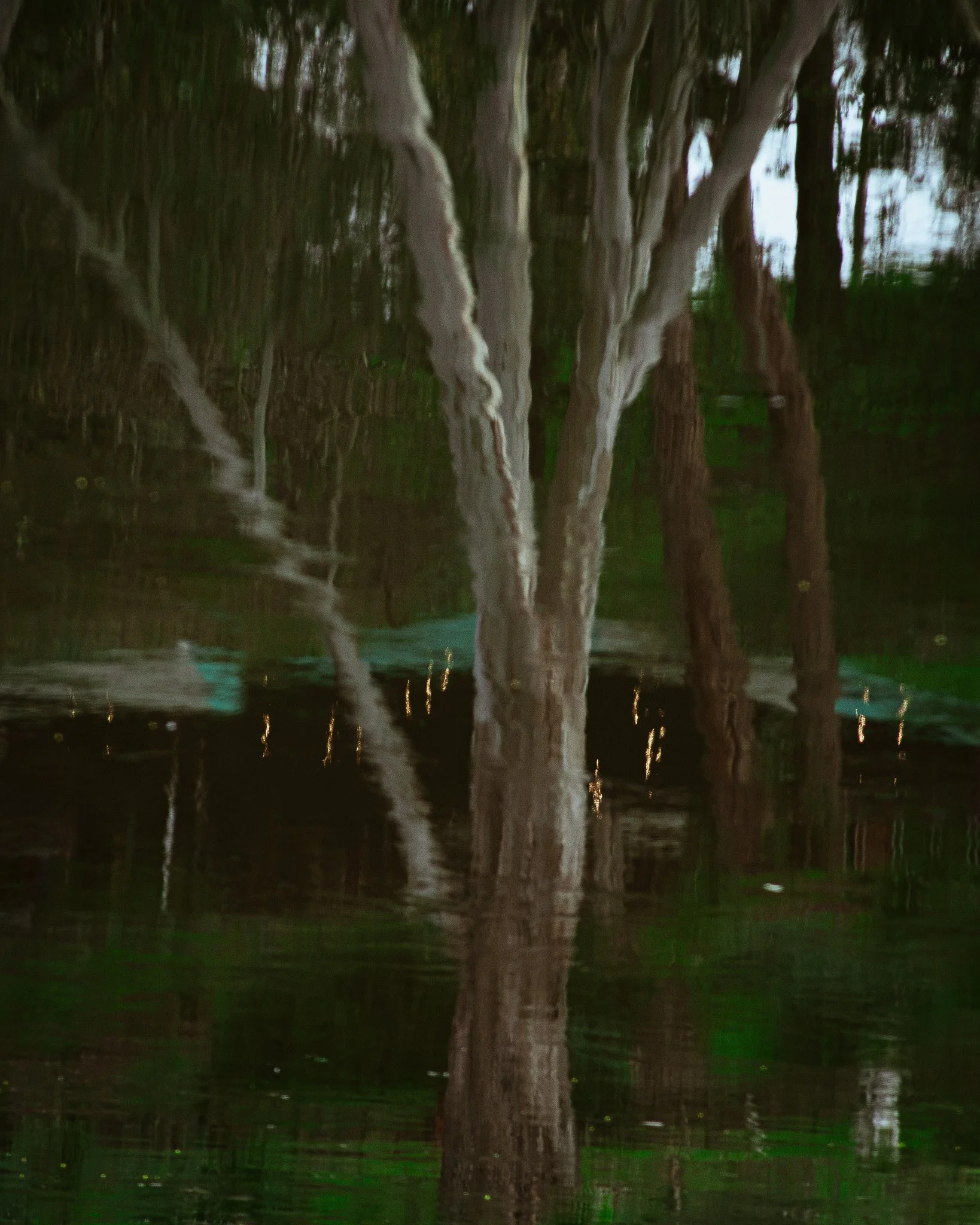 DSC_0941.jpg