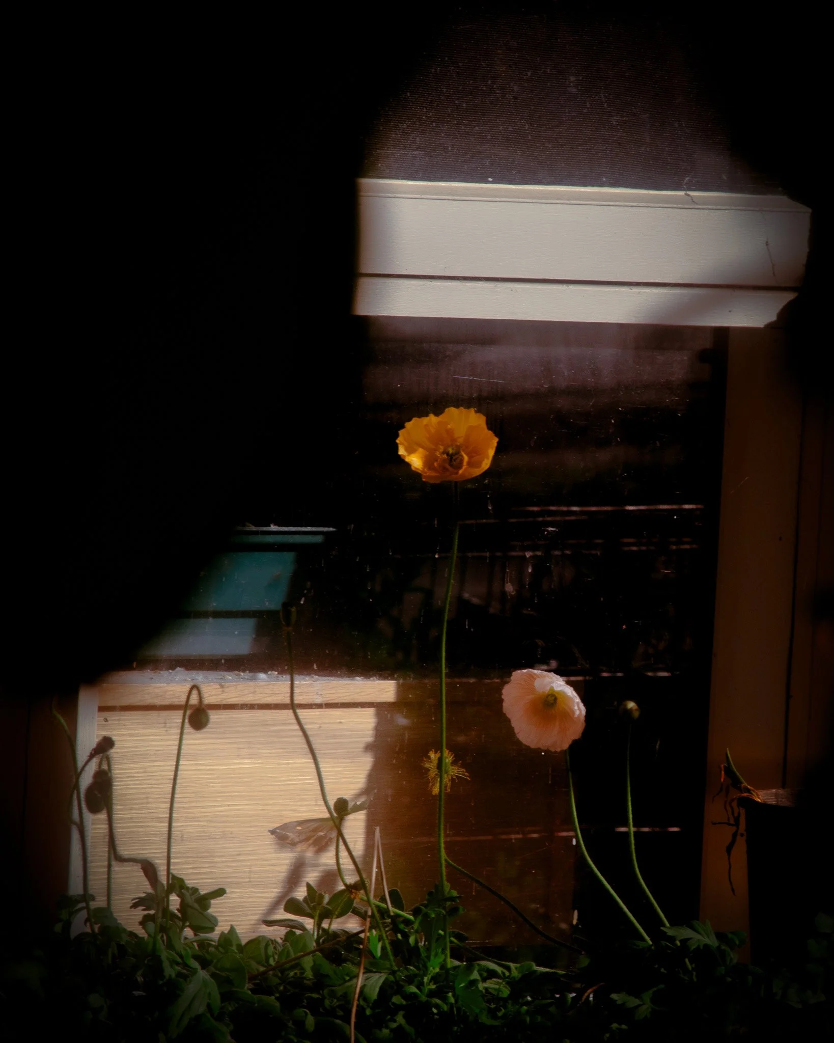 DSC_9649-Edit.jpg