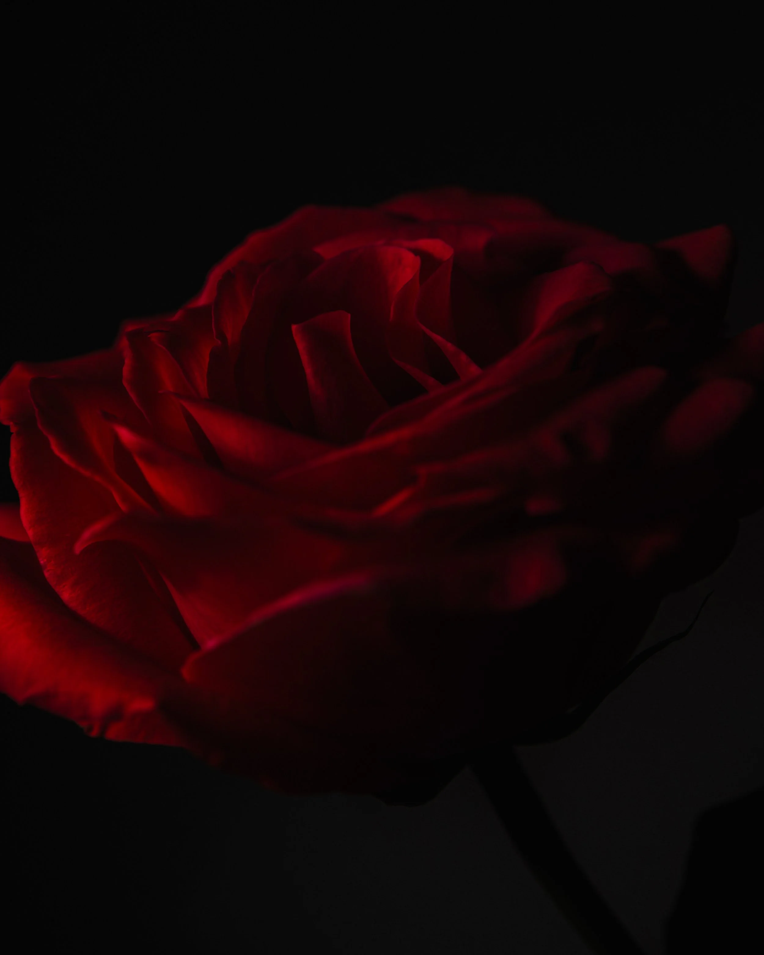 DSC_2796-Edit.jpg