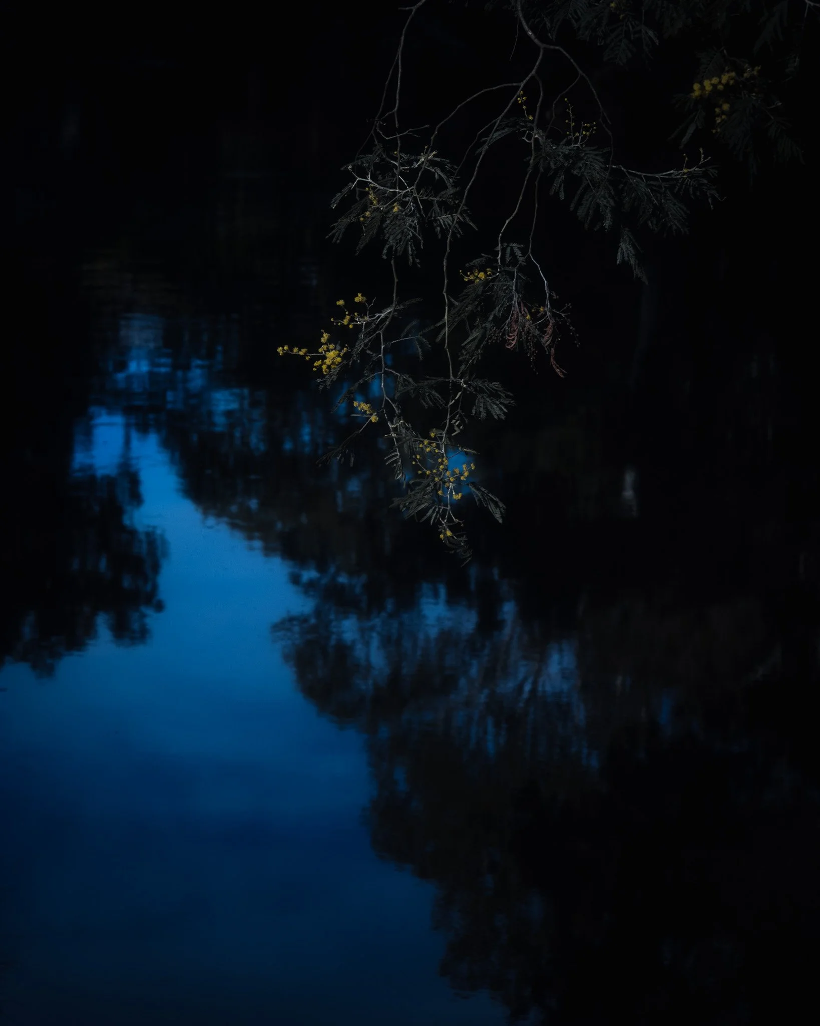 DSC_9748.jpg