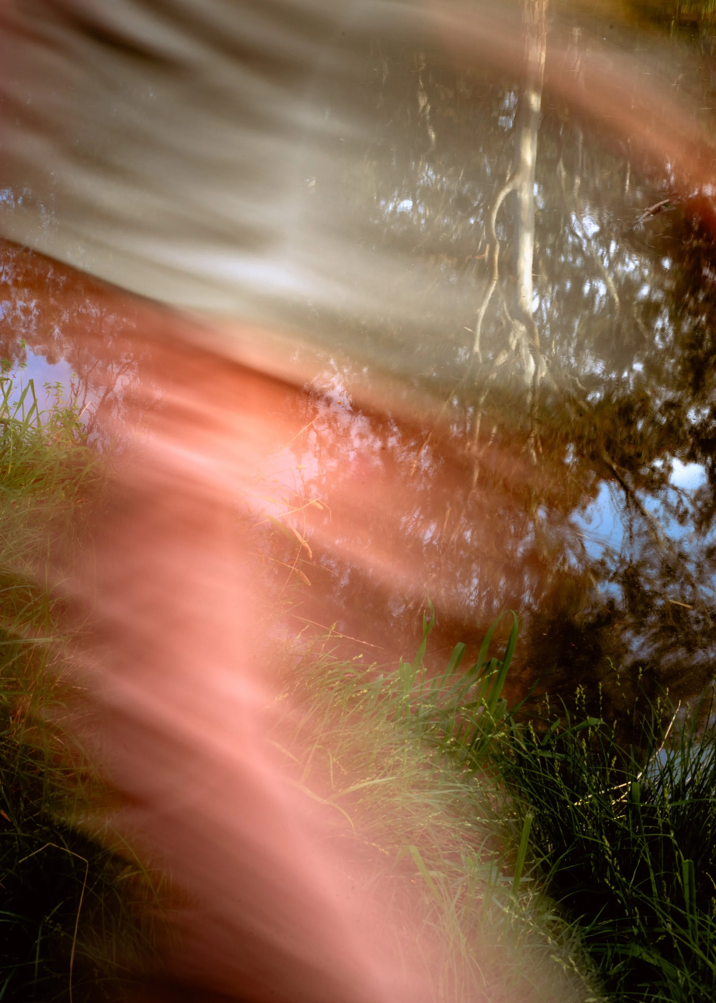 DSC_3273-Edit.jpg