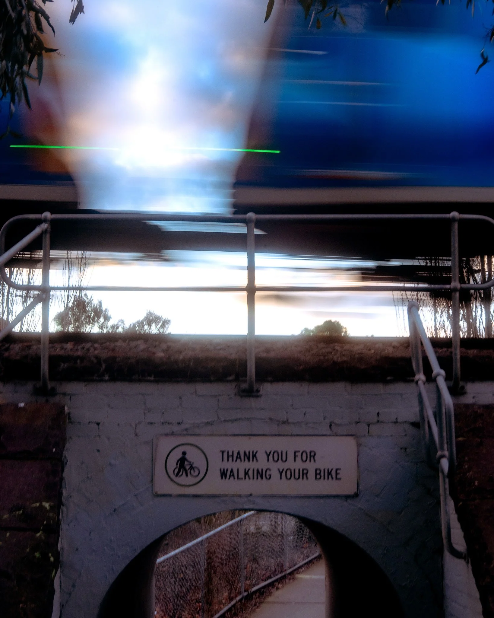 DSC_9454 2.jpg